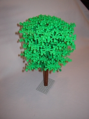 Trees