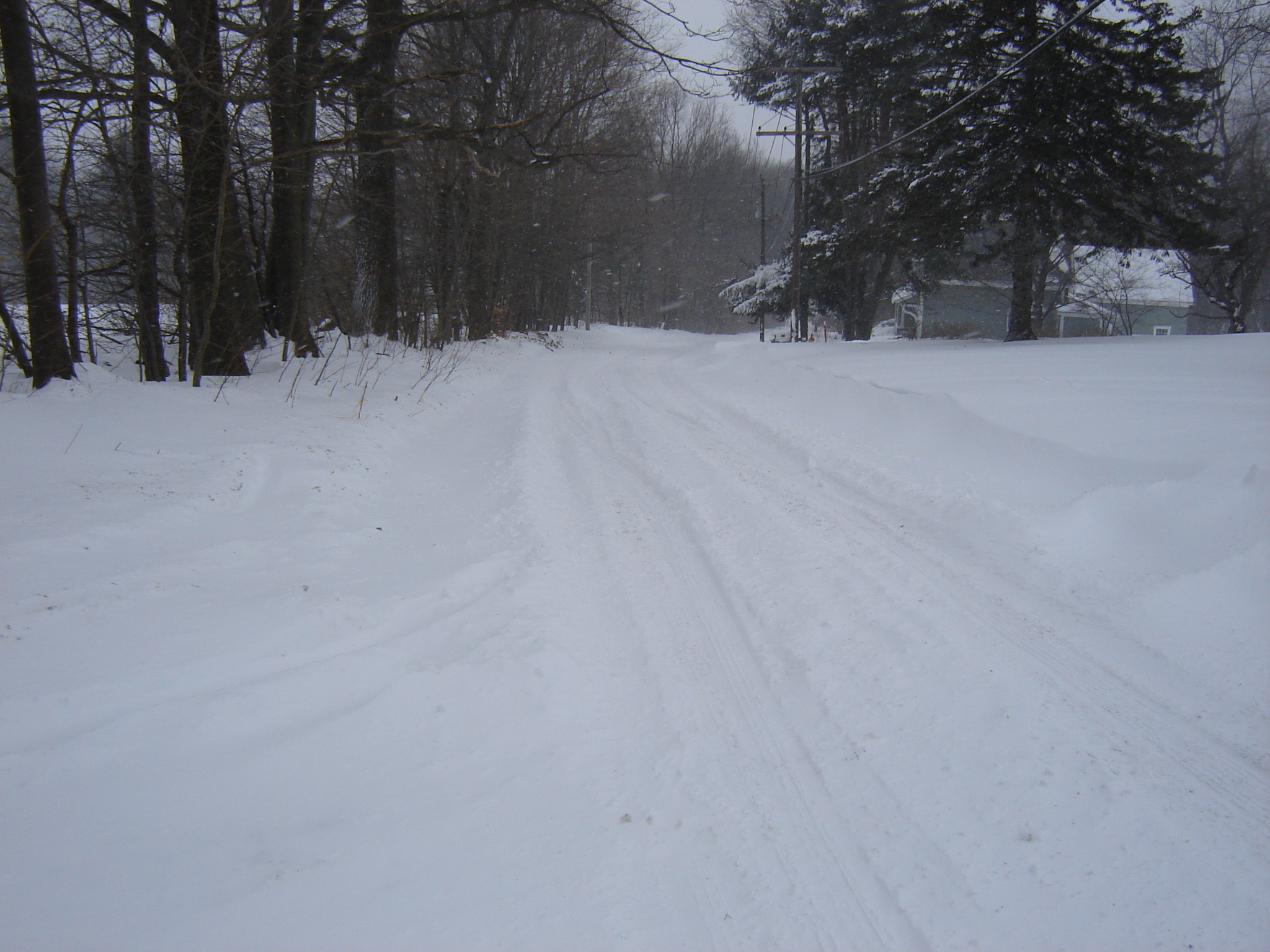 Gallaghersart dsc00196 from Winter 2014-15 