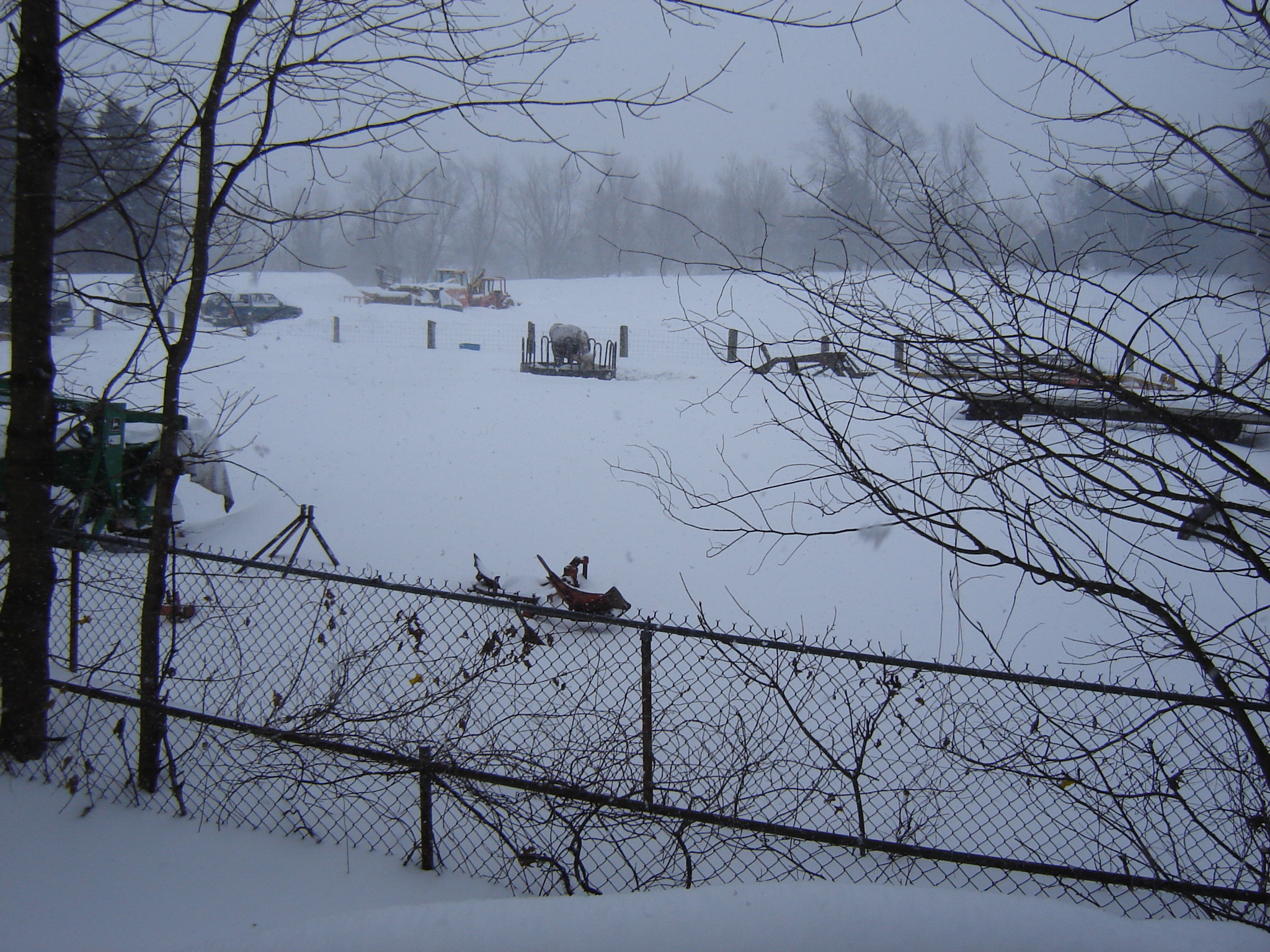 Gallaghersart dsc00203 from Winter 2014-15 