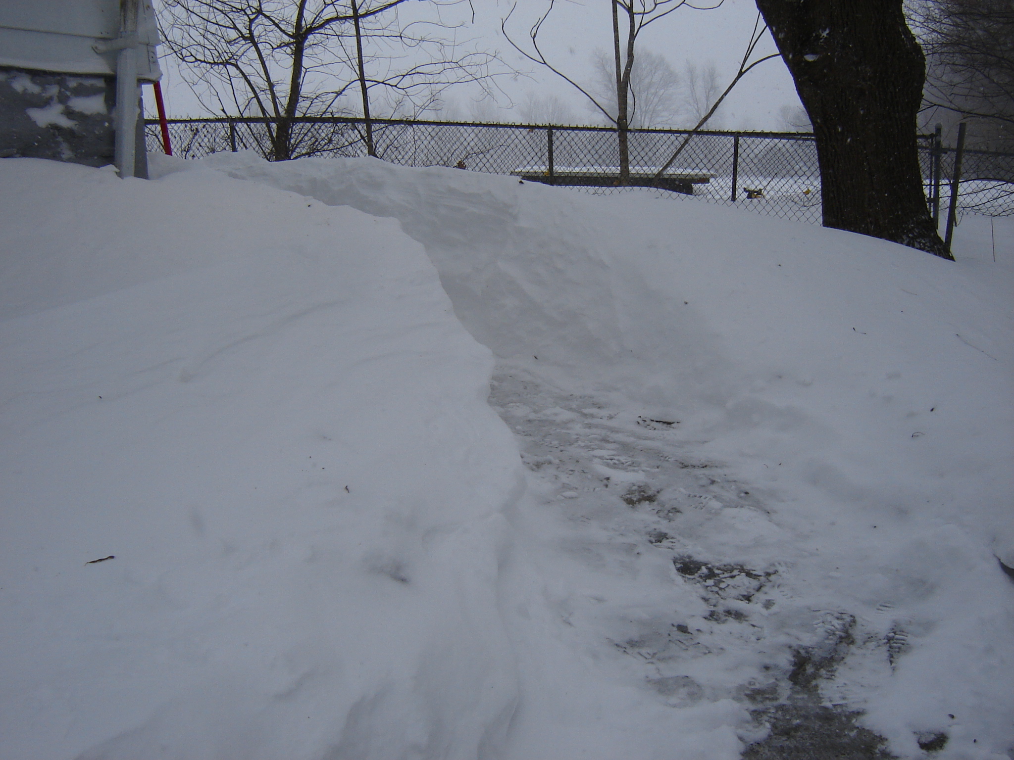 Gallaghersart dsc00204 from Winter 2014-15 