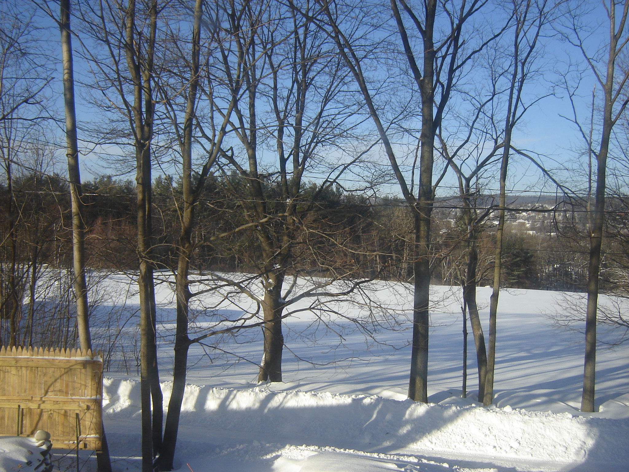 Gallaghersart dsc00233 from Winter 2014-15 