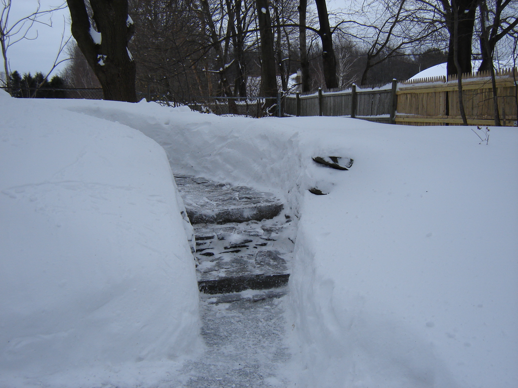 Gallaghersart dsc00313 from Winter 2014-15 