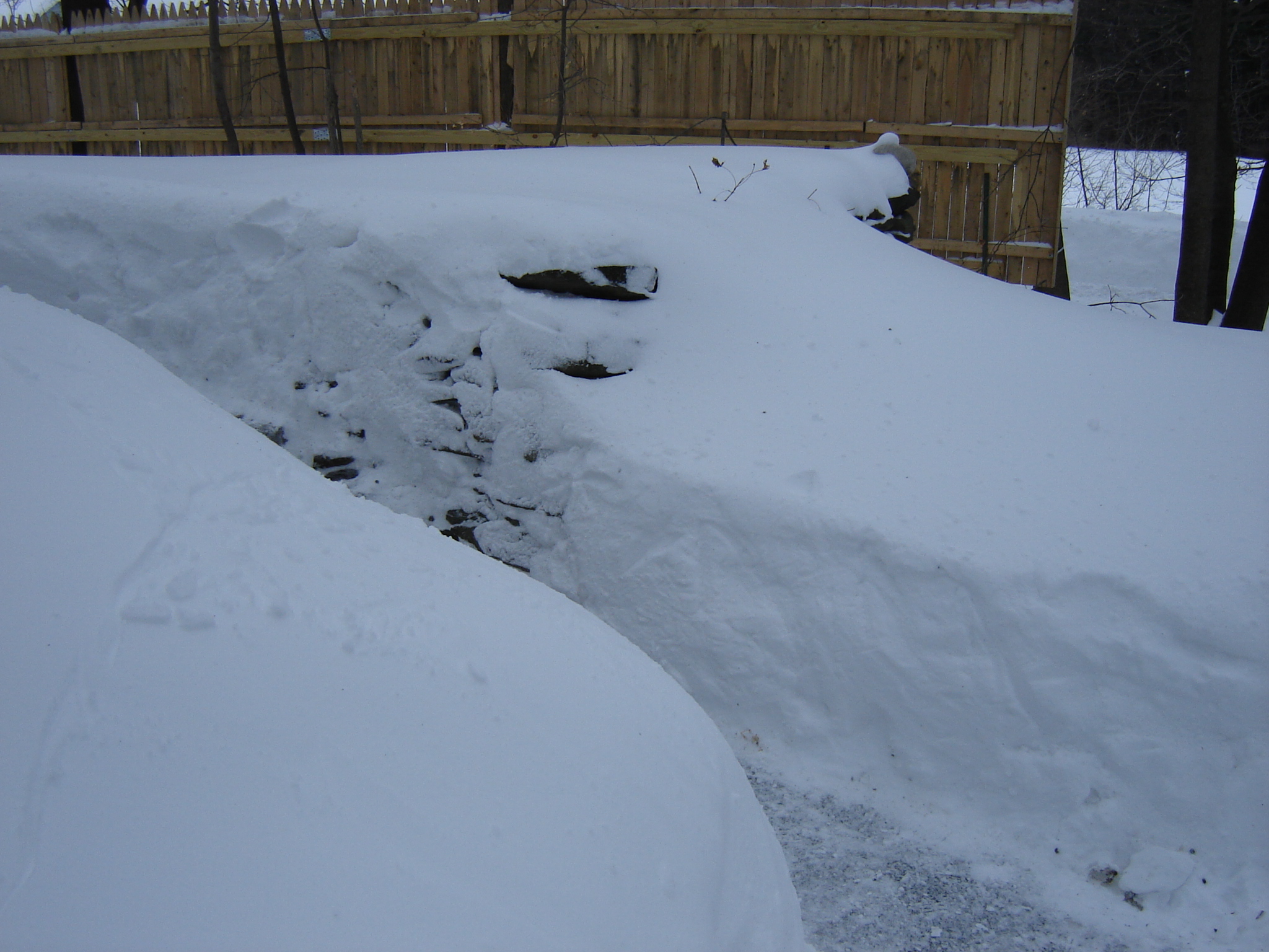 Gallaghersart dsc00317 from Winter 2014-15 