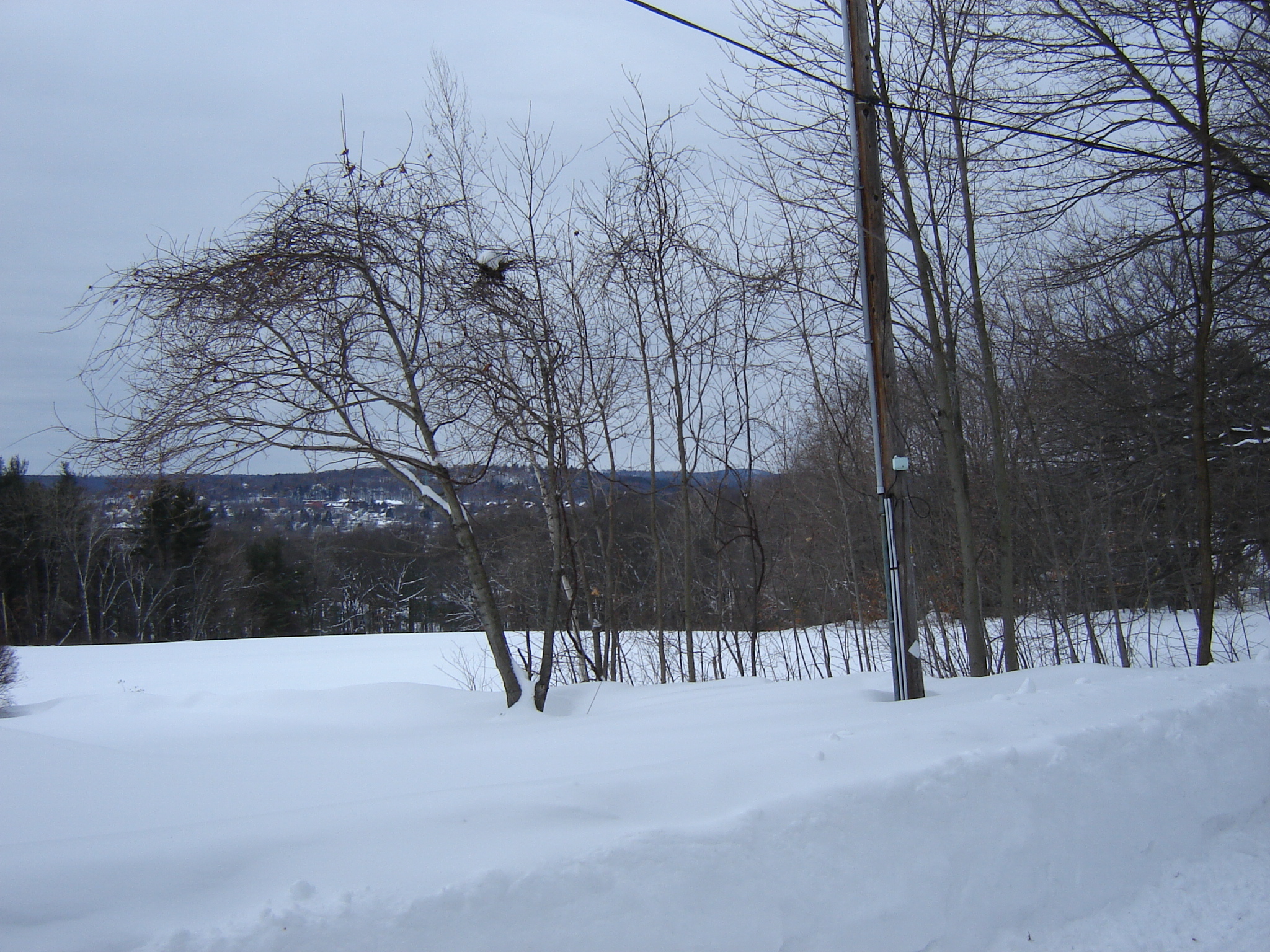 Gallaghersart dsc00324 from Winter 2014-15 