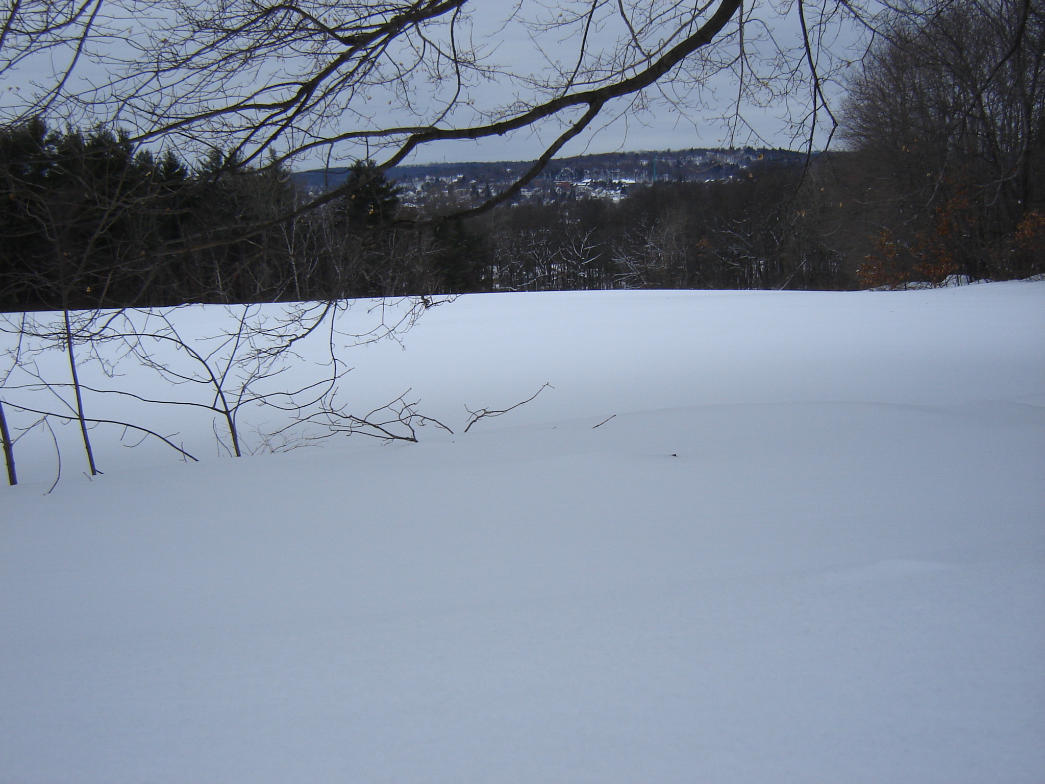 Gallaghersart dsc00325 from Winter 2014-15 
