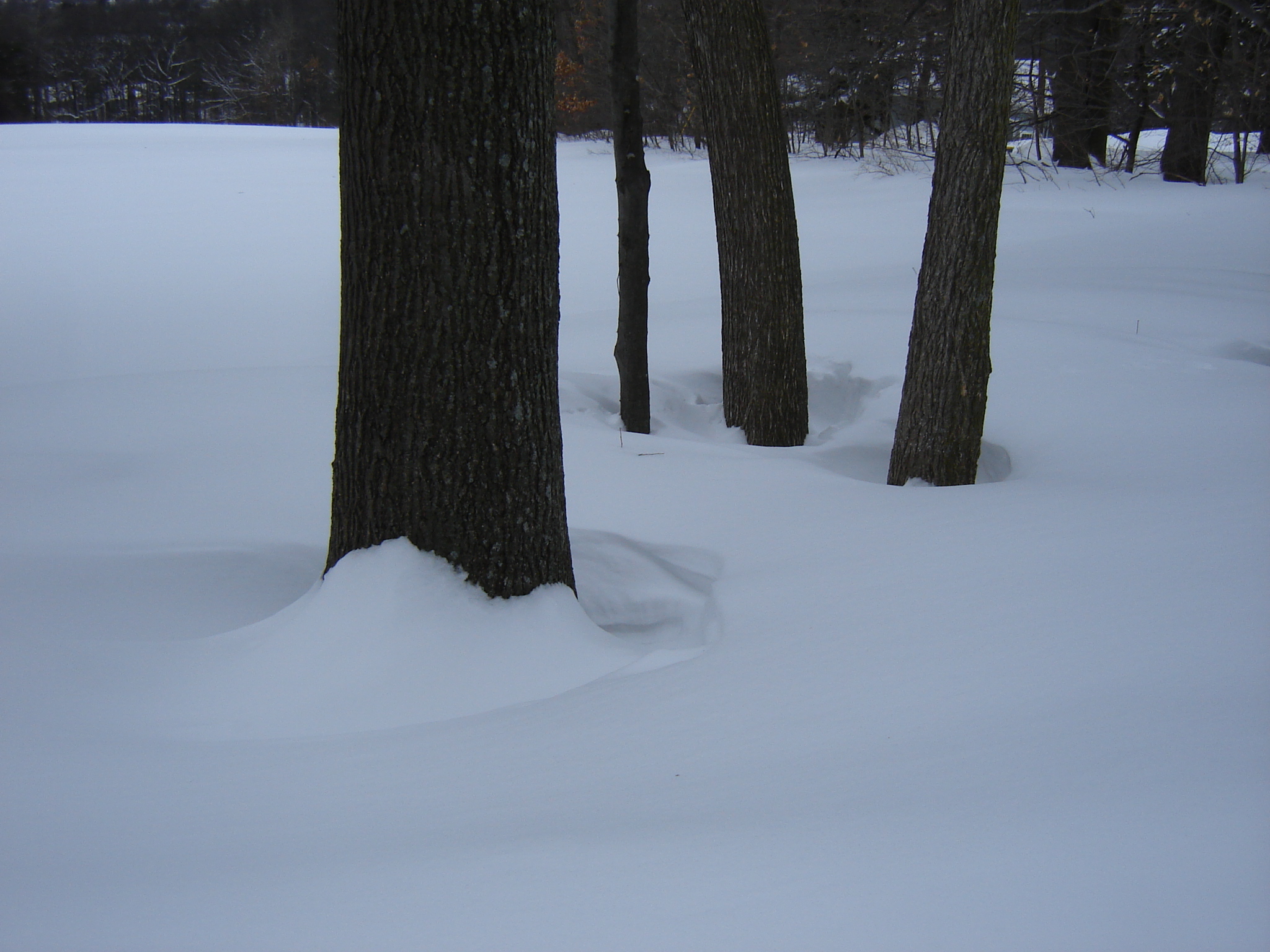 Gallaghersart dsc00326 from Winter 2014-15 