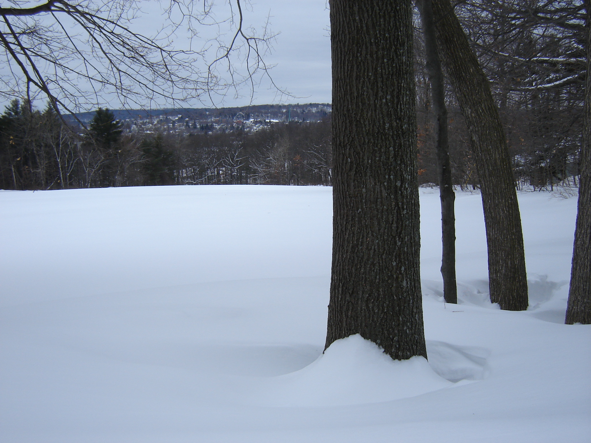 Gallaghersart dsc00327 from Winter 2014-15 