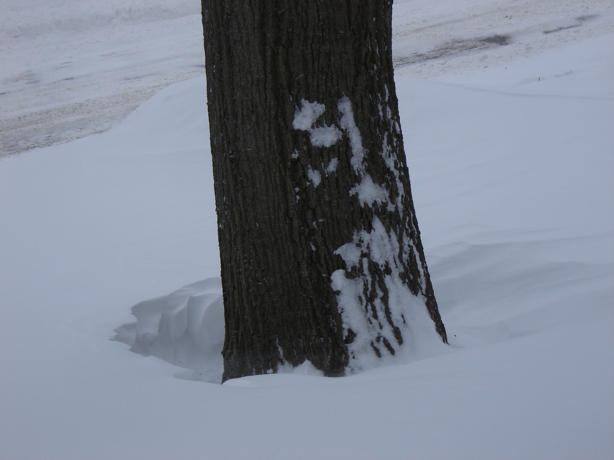 Gallaghersart dsc00387 from Winter 2014-15 