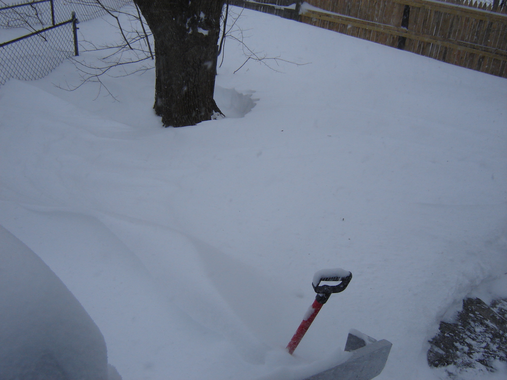 Gallaghersart dsc00398 from Winter 2014-15 