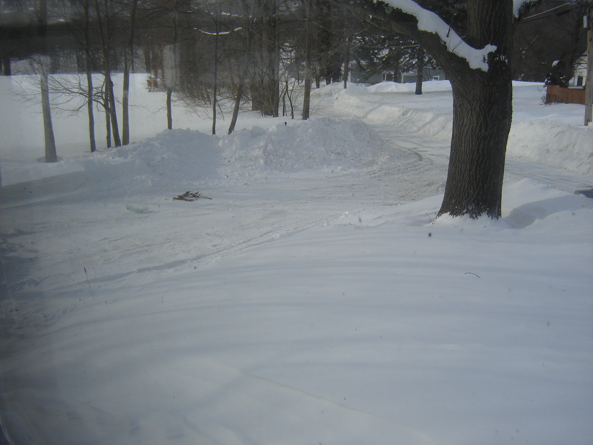 Gallaghersart dsc00410 from Winter 2014-15 