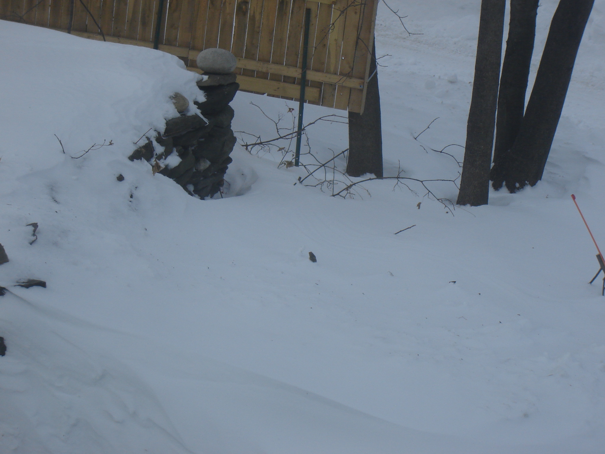 Gallaghersart dsc00464 from Winter 2014-15 