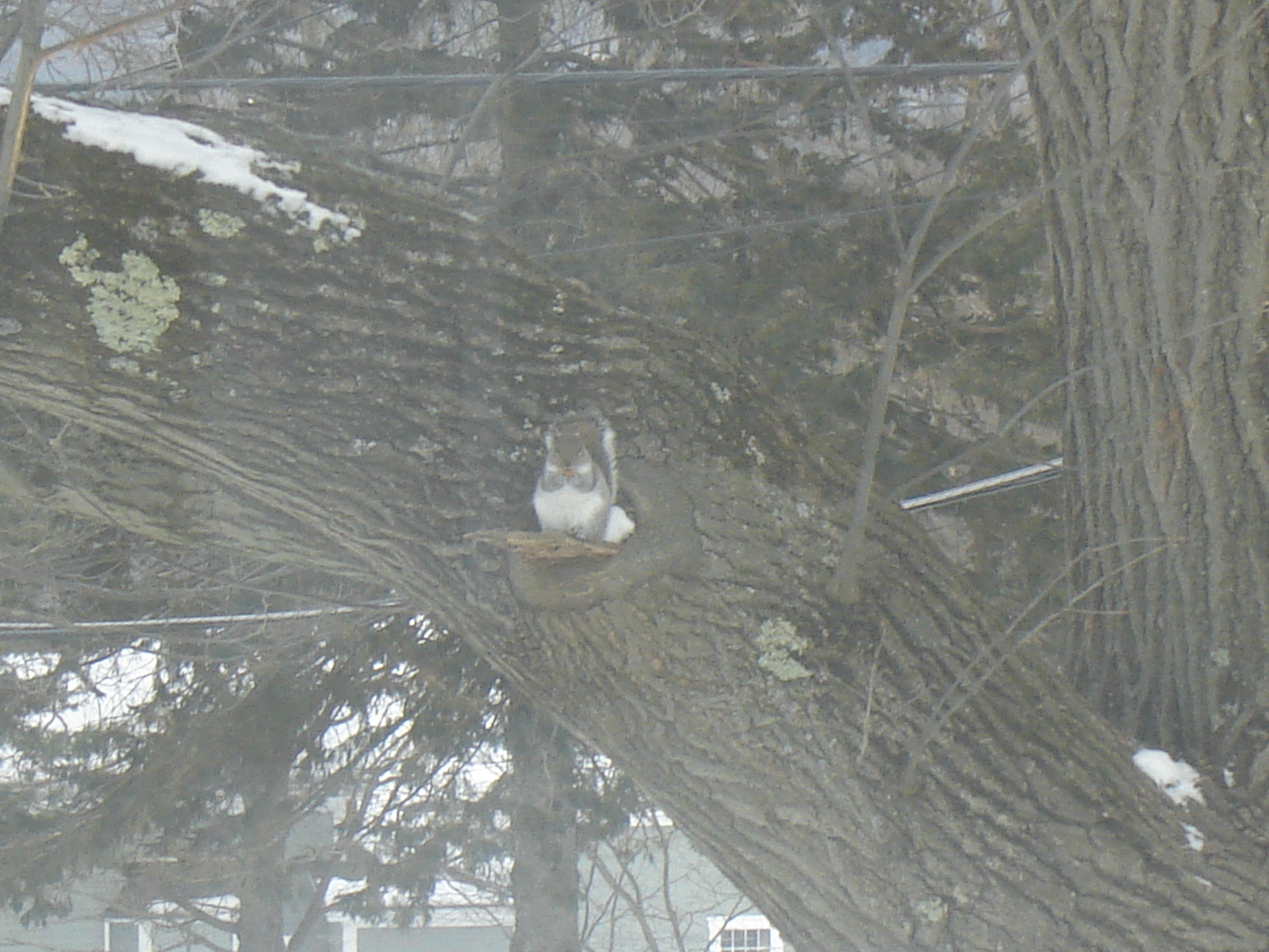 Gallaghersart dsc00474 from Winter 2014-15 