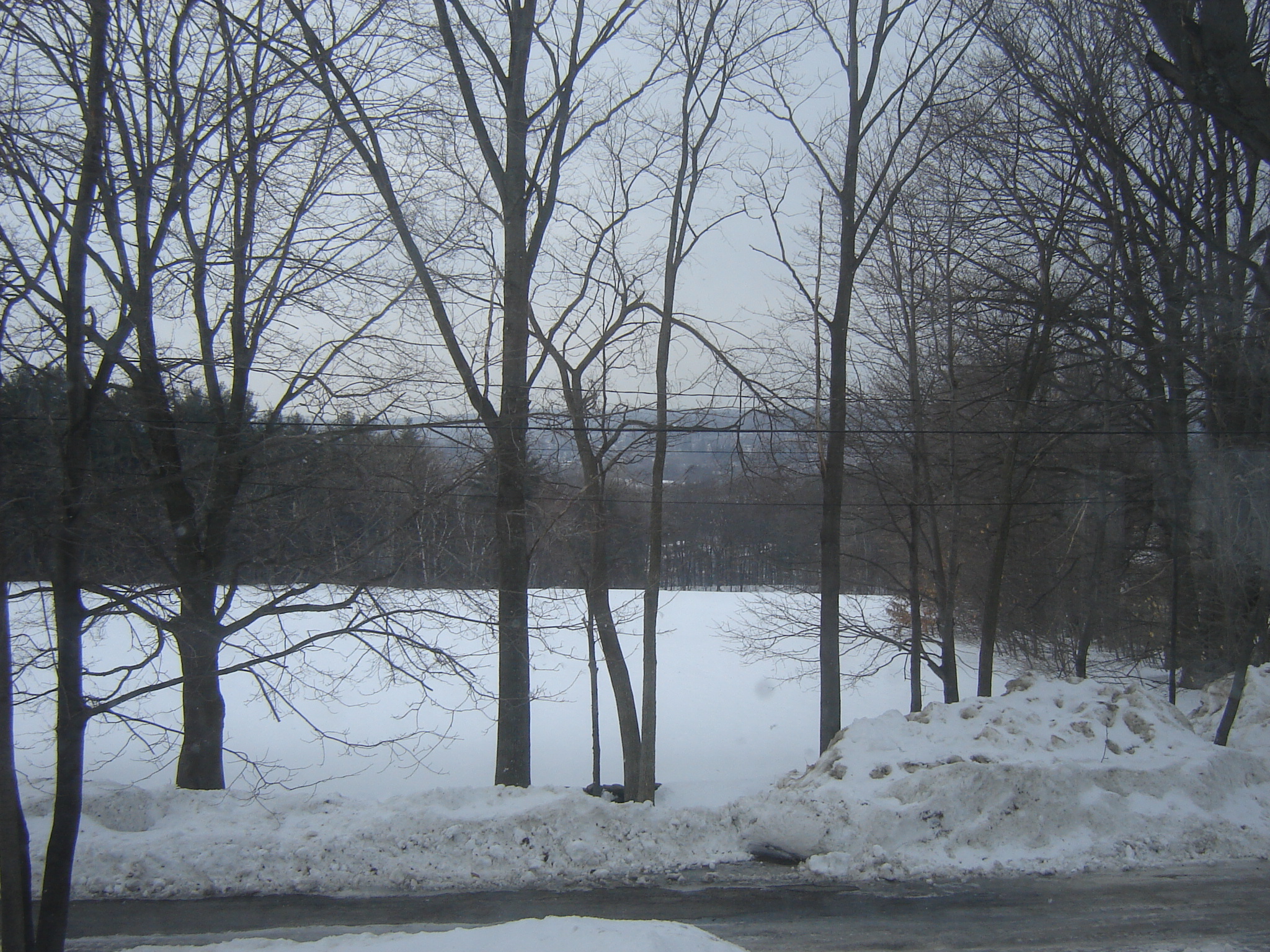 Gallaghersart dsc00637 from Winter 2014-15 
