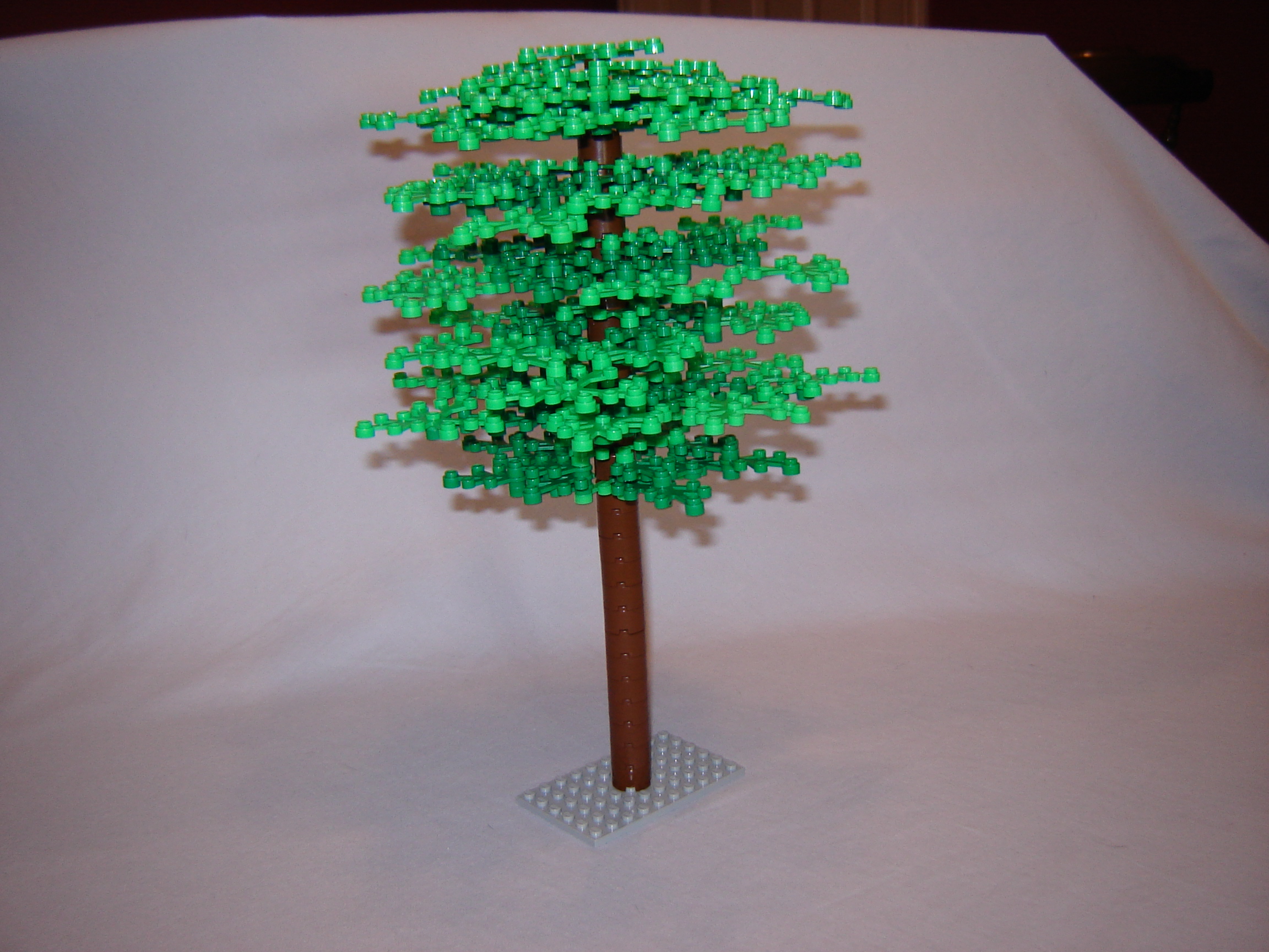 Gallaghersart dsc01984 from  