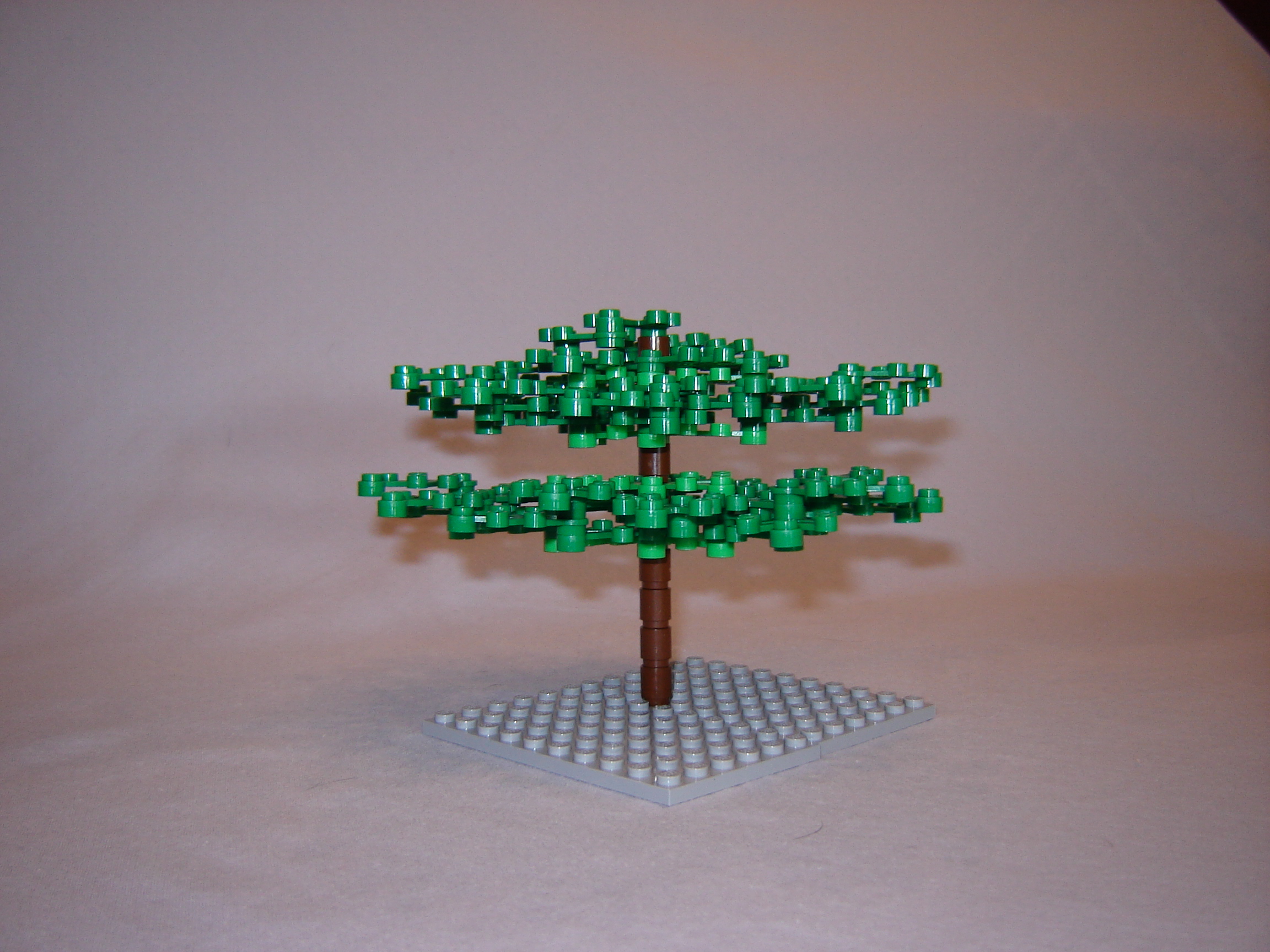 Gallaghersart dsc01998 from  