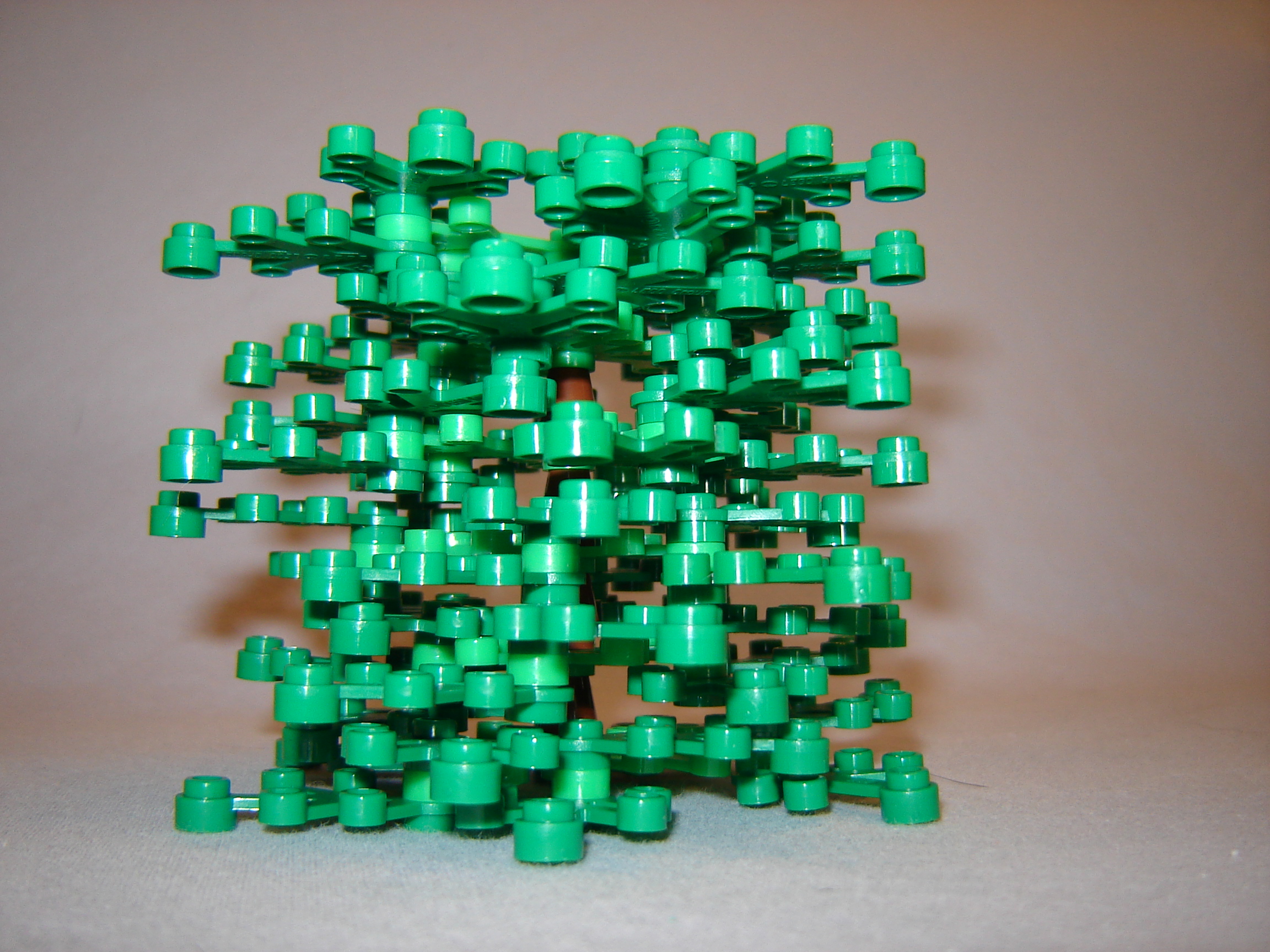 Gallaghersart dsc02008 from  