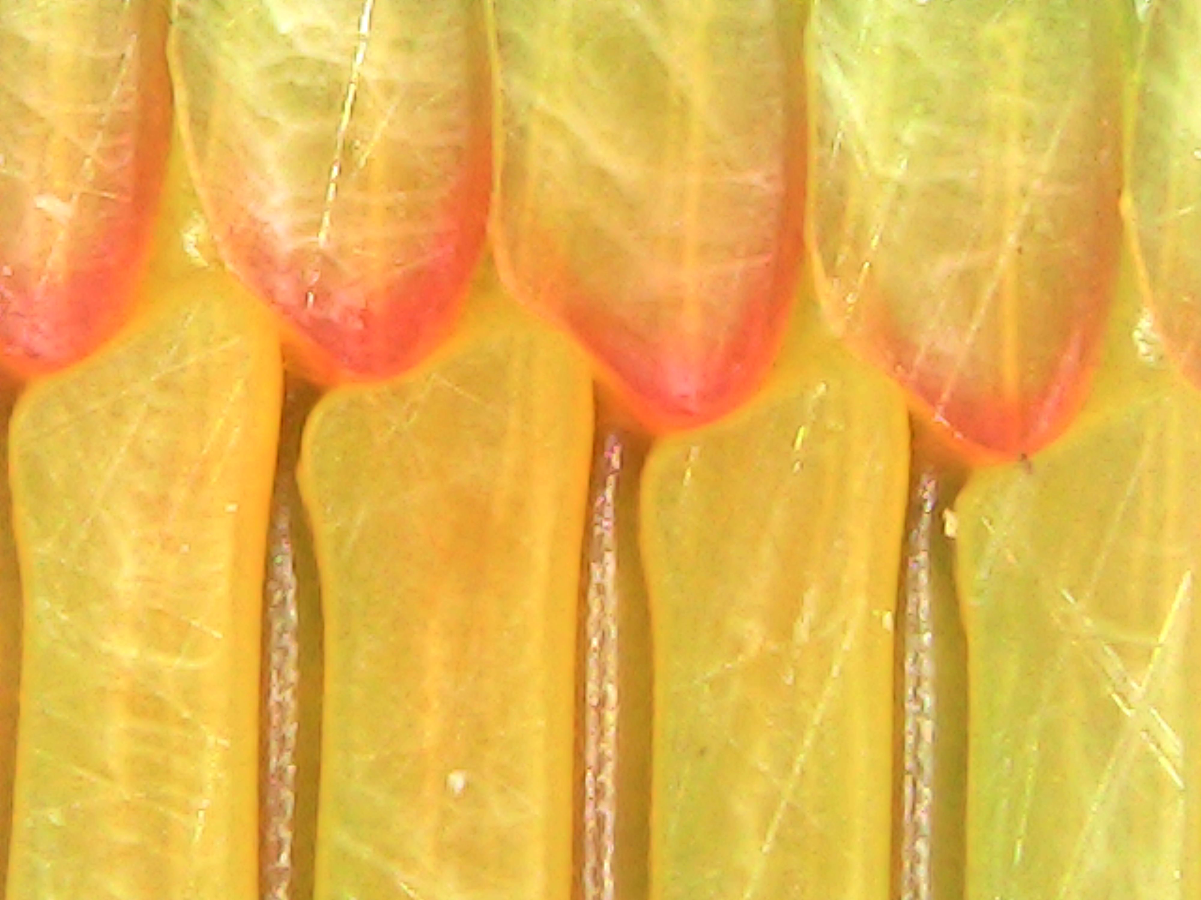 Gallaghersart fri nov 23 14-12-01 from Micro Images of 3D Printed Filaments 