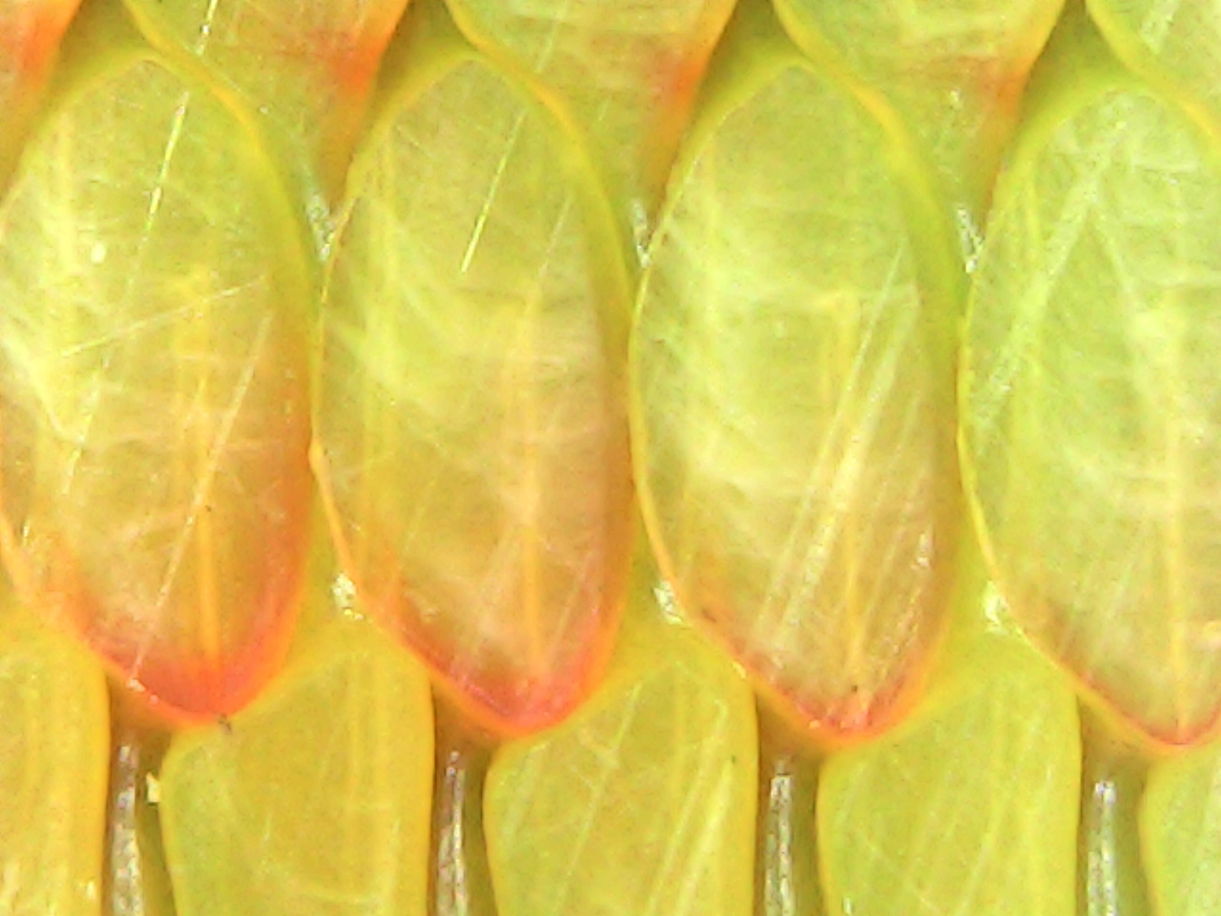 Gallaghersart fri nov 23 14-12-30 from Micro Images of 3D Printed Filaments 