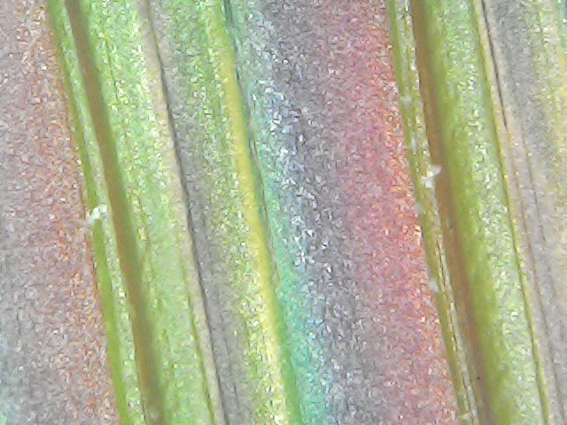 Gallaghersart fri oct 19 23-39-33 from Micro Images of 3D Printed Filaments 