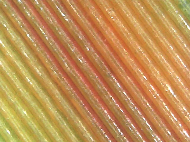 Gallaghersart sun oct 14 18-35-37 from Micro Images of 3D Printed Filaments 