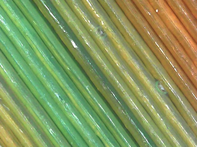 Gallaghersart sun oct 14 18-36-05 from Micro Images of 3D Printed Filaments 