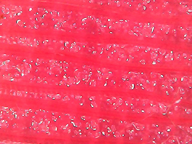 Gallaghersart sun oct 14 18-39-11 from Micro Images of 3D Printed Filaments 