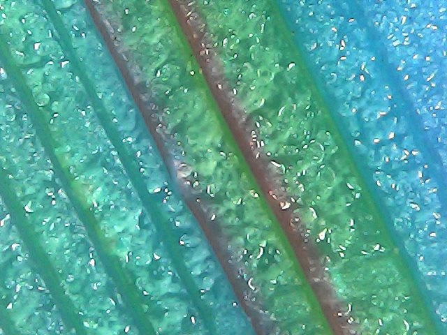 Gallaghersart sun oct 14 18-41-32 from Micro Images of 3D Printed Filaments 
