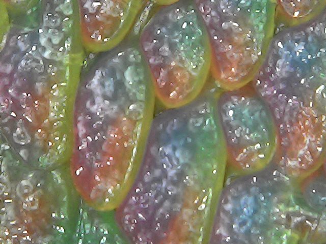 Gallaghersart sun oct 14 18-43-34 from Micro Images of 3D Printed Filaments 