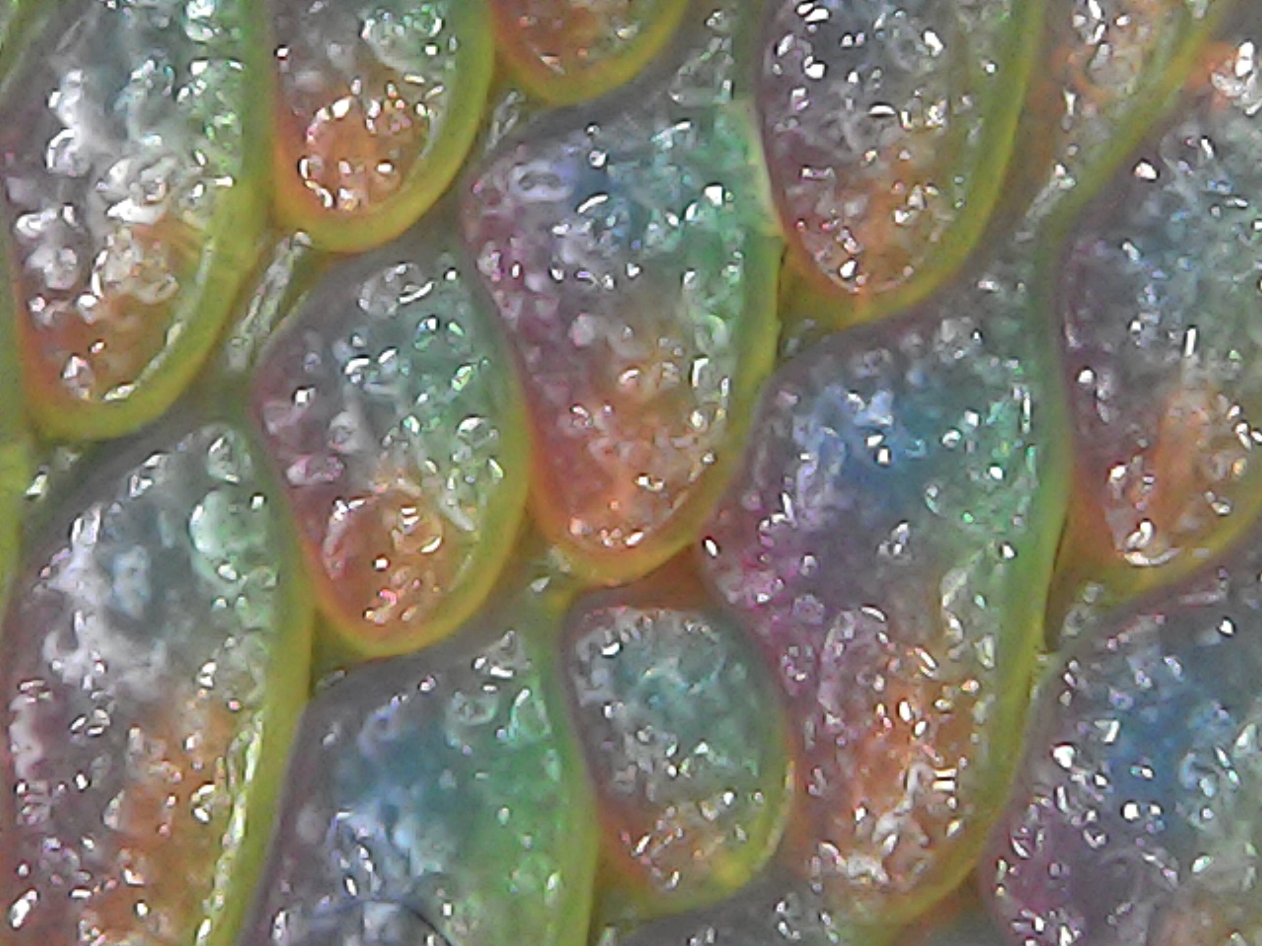 Gallaghersart sun oct 14 18-44-00 from Micro Images of 3D Printed Filaments 