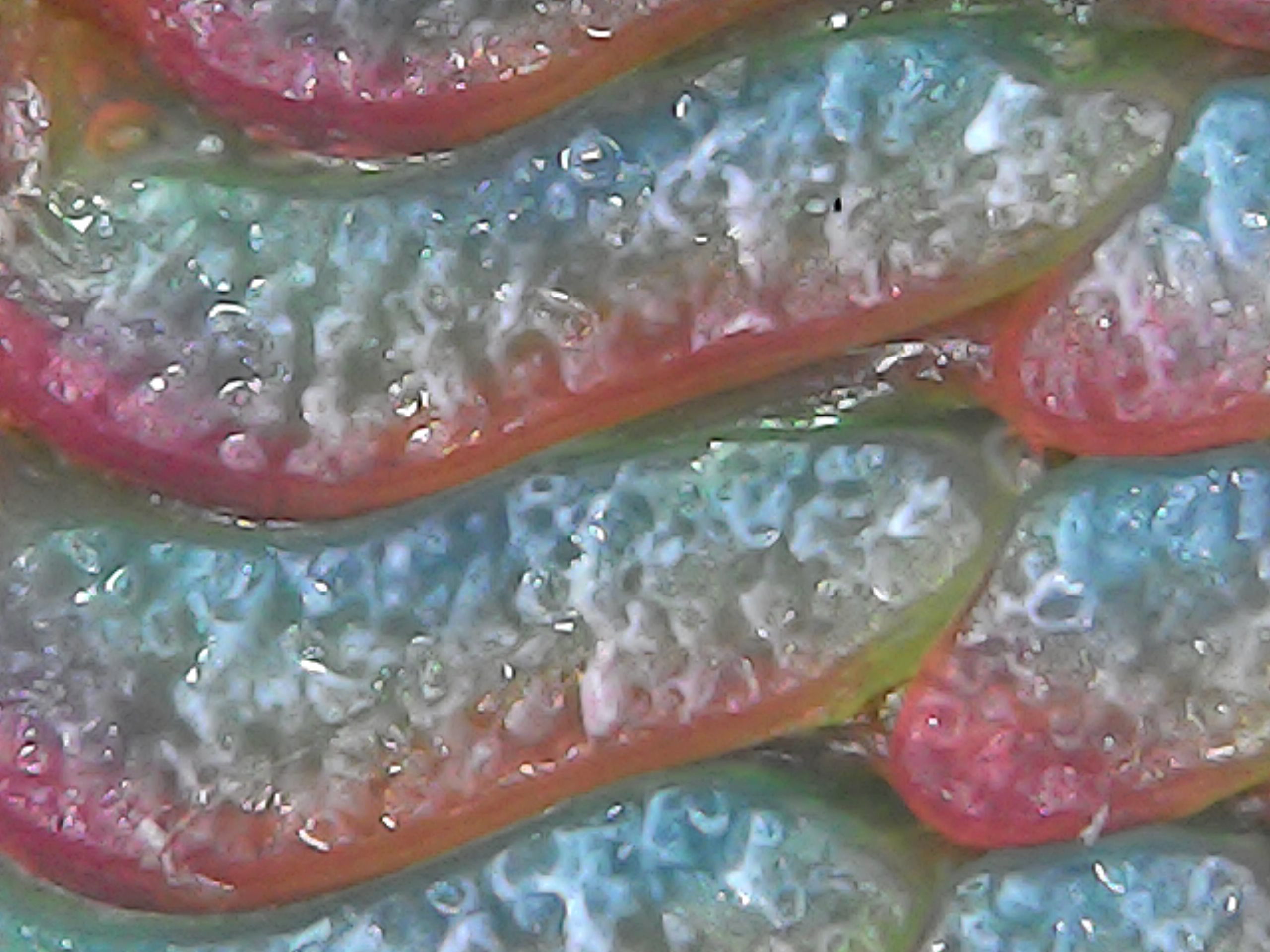 Gallaghersart sun oct 14 18-45-00 from Micro Images of 3D Printed Filaments 