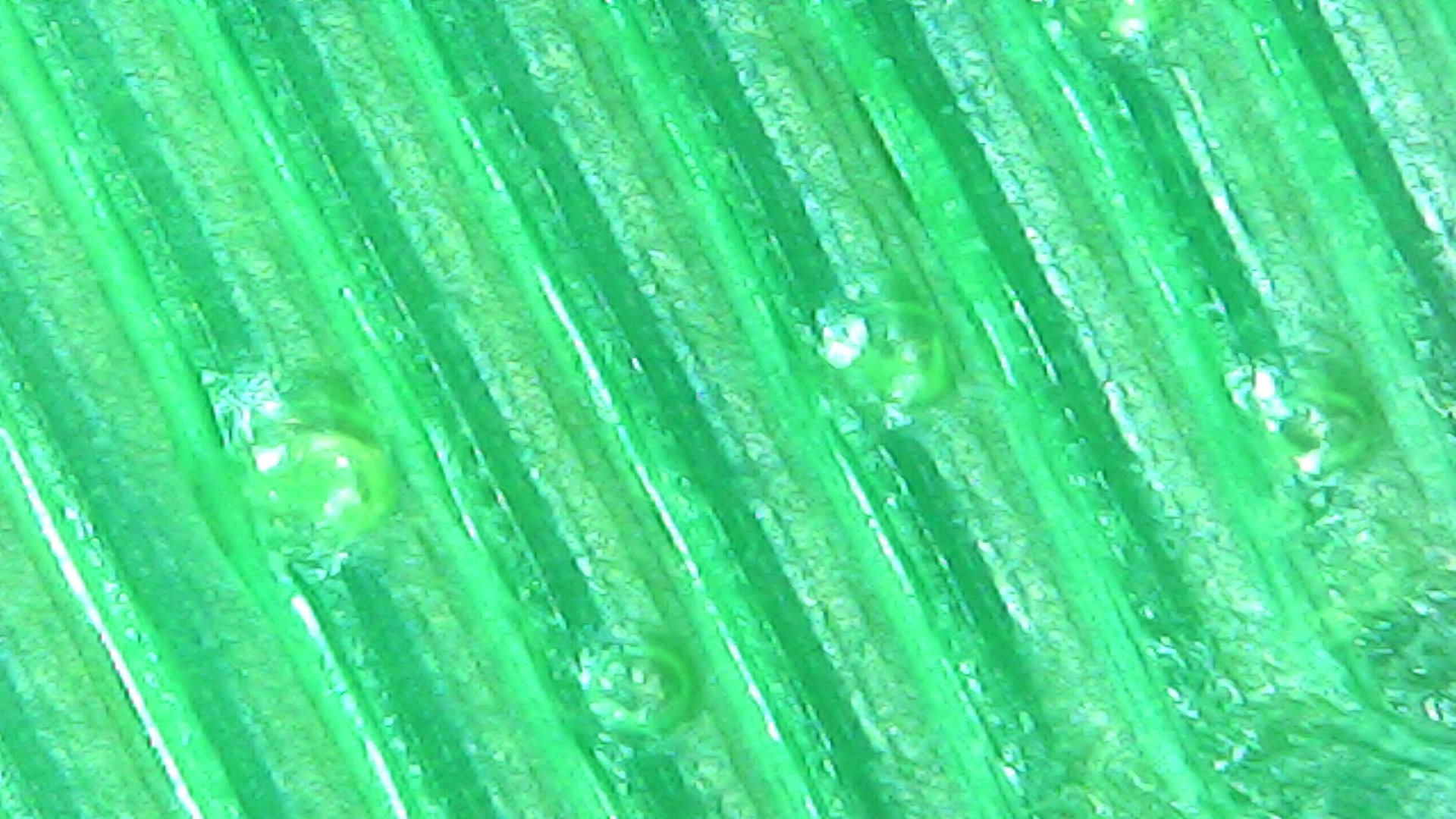 Gallaghersart sun oct 14 18-48-17 from Micro Images of 3D Printed Filaments 