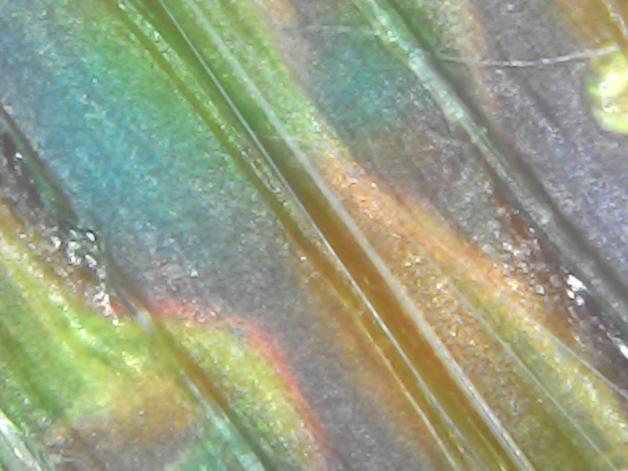 Gallaghersart sun oct 14 19-45-12 from Micro Images of 3D Printed Filaments 