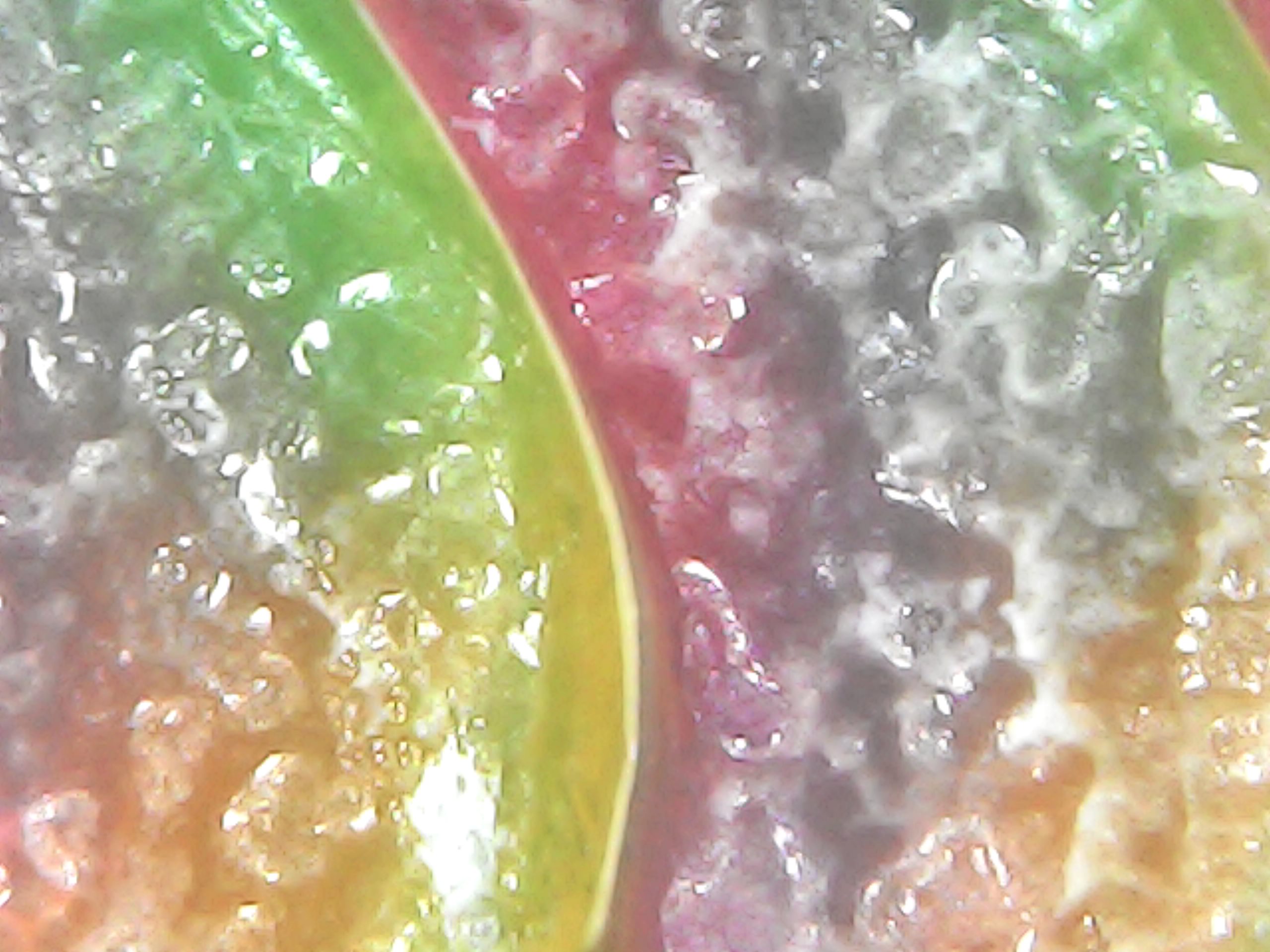 Gallaghersart sun oct 14 19-51-37 from Micro Images of 3D Printed Filaments 