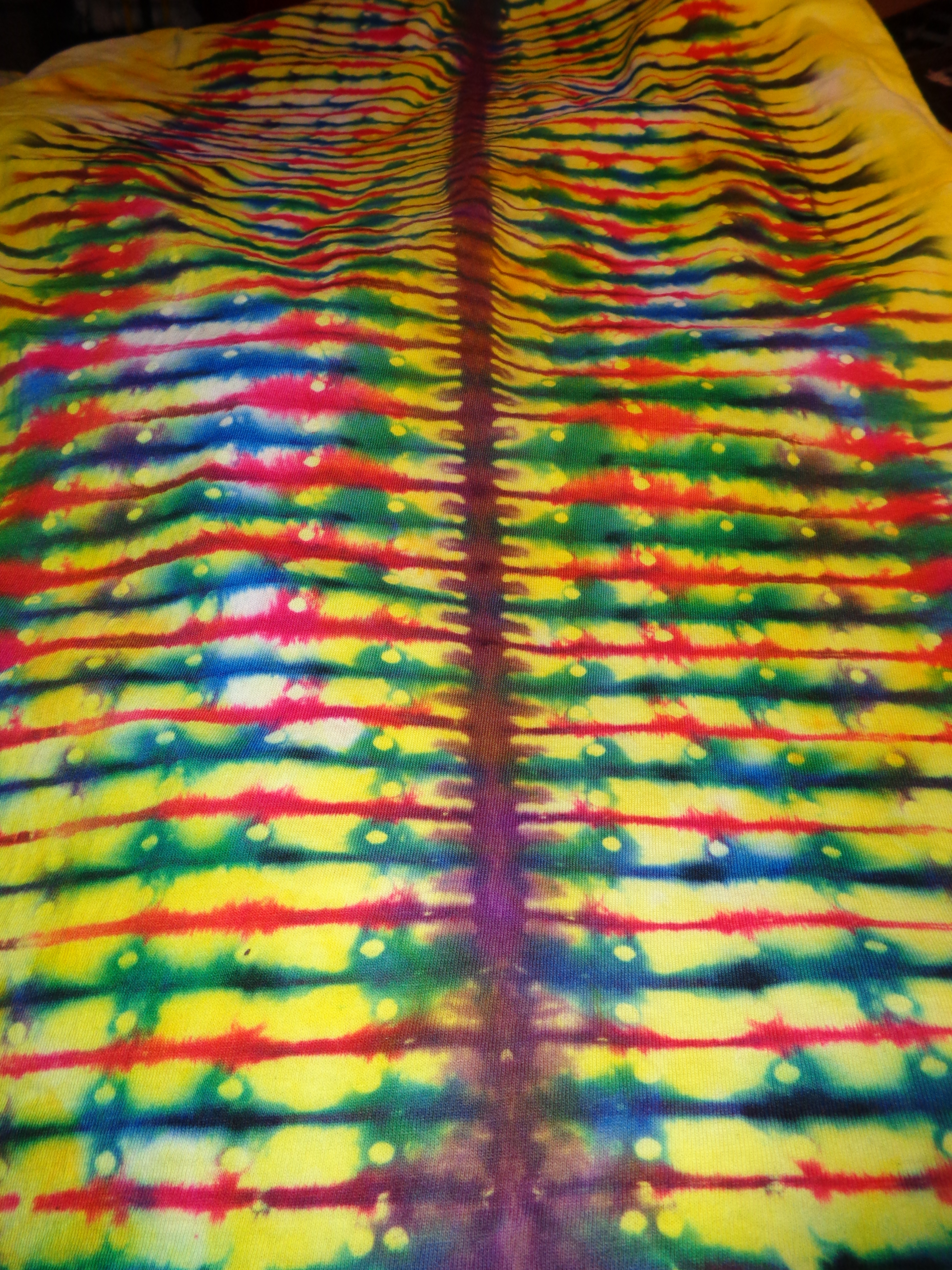 Dsc05815 from Tie Dye July 2024  - 6