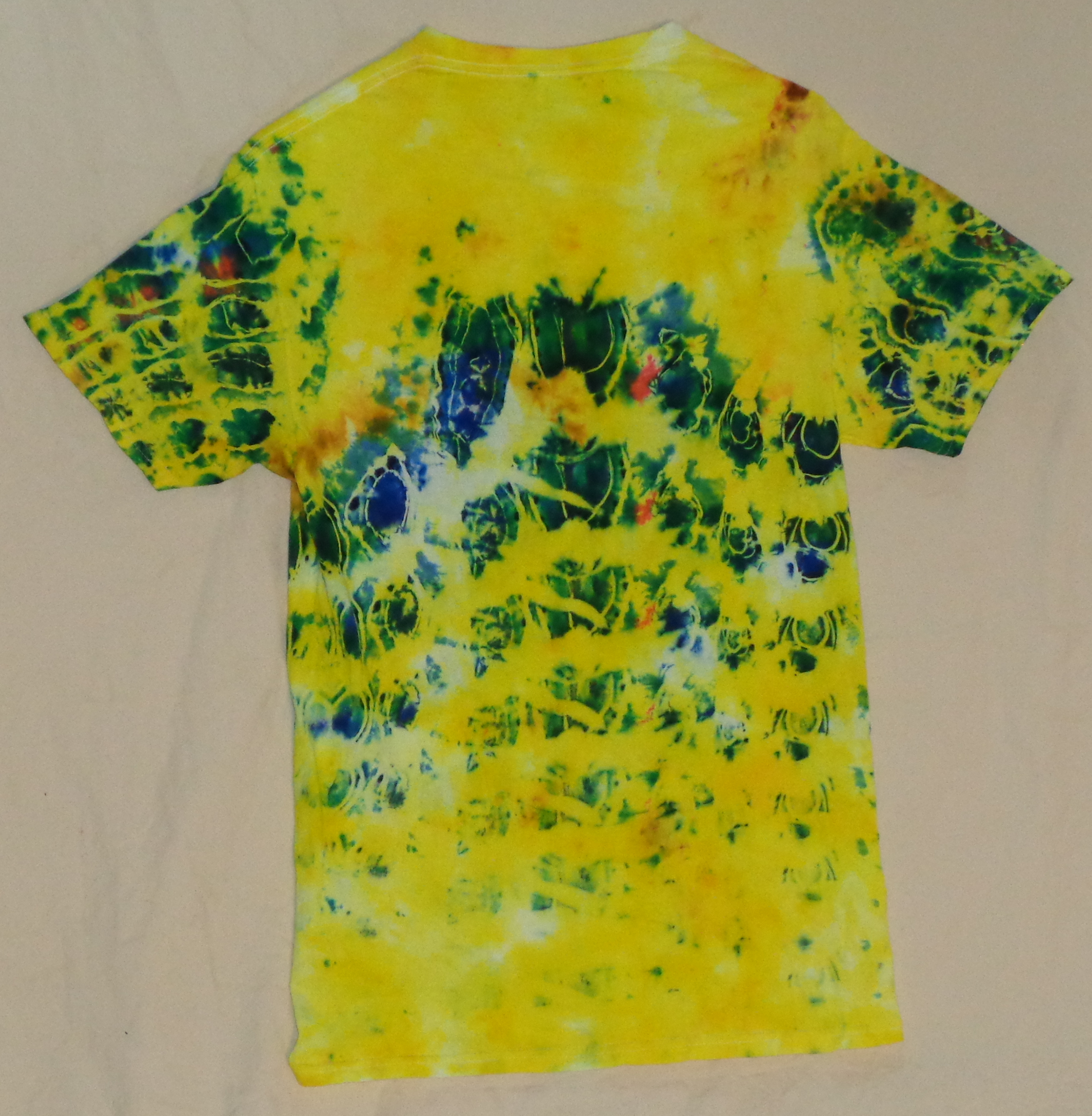 Dsc05885 from Tie Dye July 2024  - 7