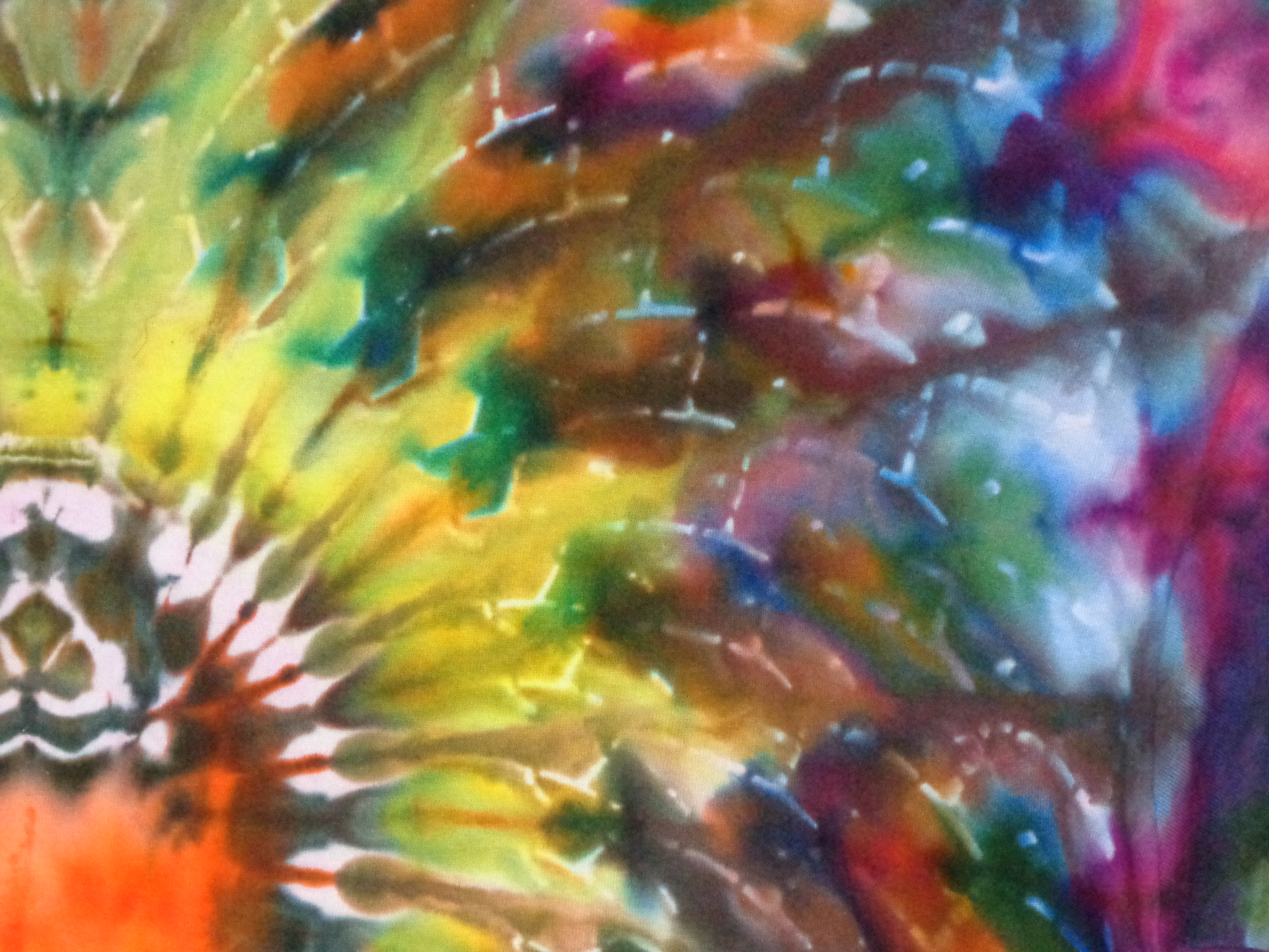 Dsc06188 from Tie Dye July 2024  - 34