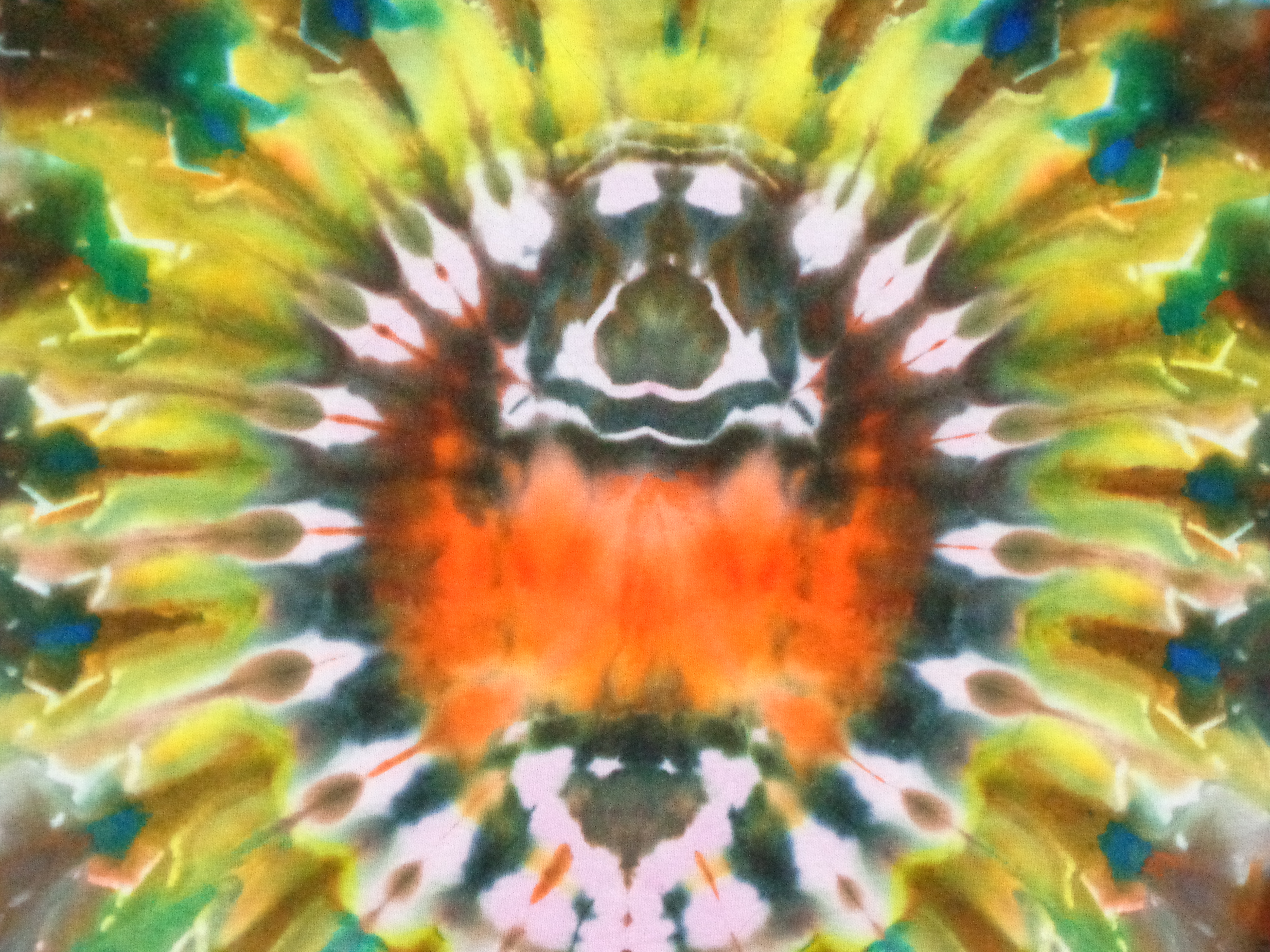 Dsc06193 from Tie Dye July 2024  - 34