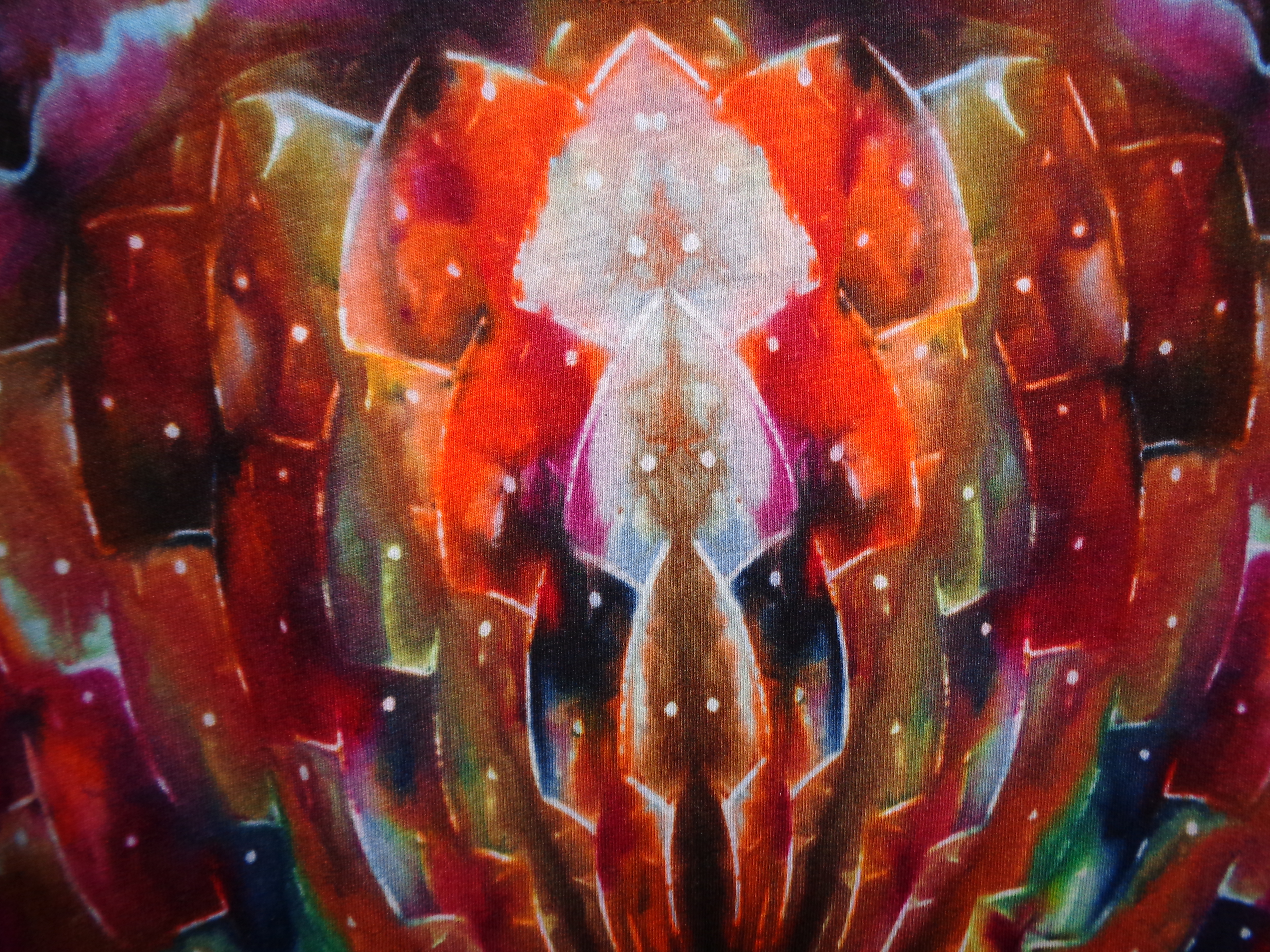 Gallaghersart dsc06745 from Tie Dyenied #51 Mandala v2 Bear v1 Sativa v1 Tie Dye Shirt 