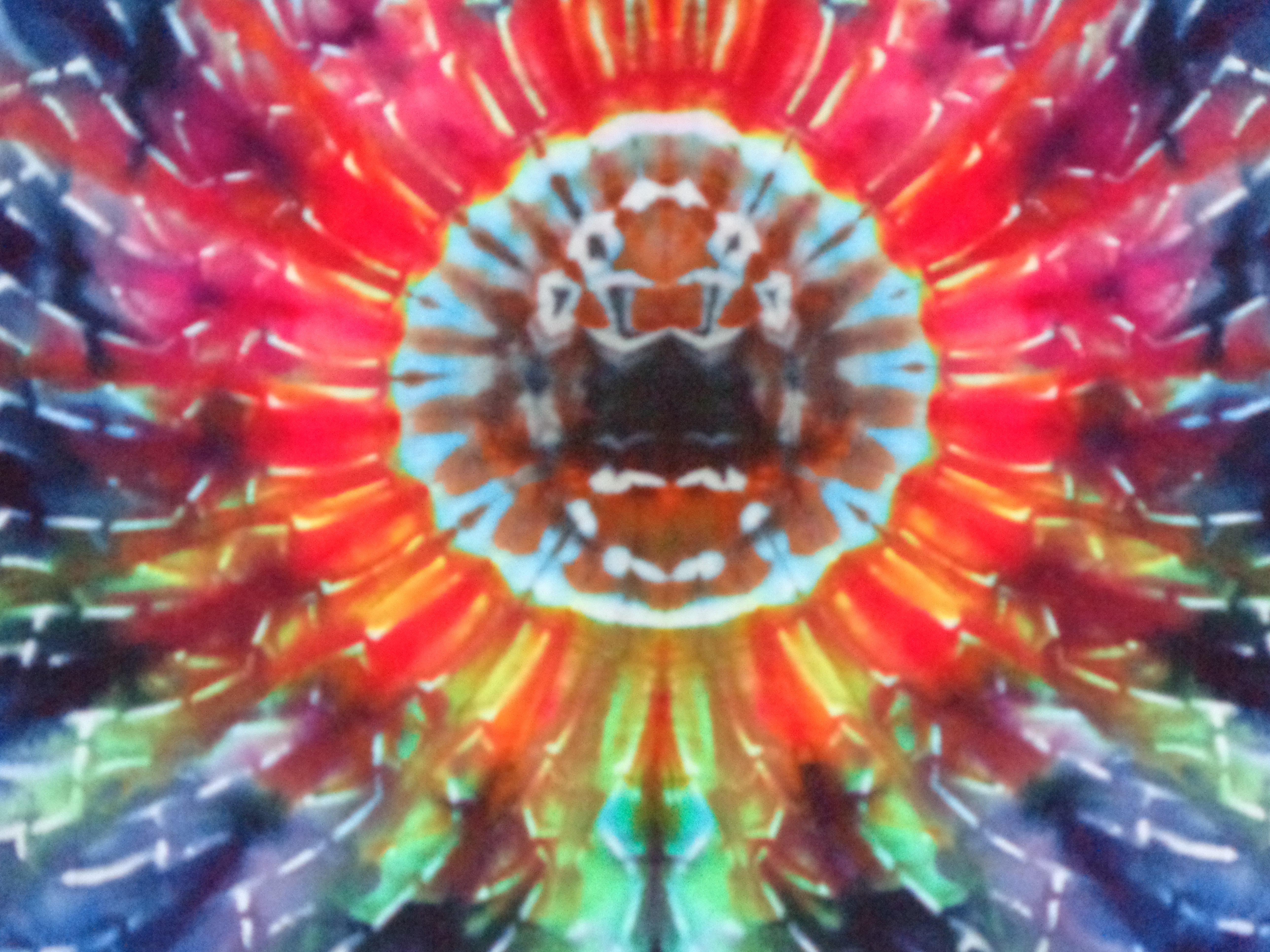 Gallaghersart dsc06689 from Tie Dyenied #49 XXL Mandala v1 (F,B) Mandala v2 (Arms) Tie Dye Shirt 