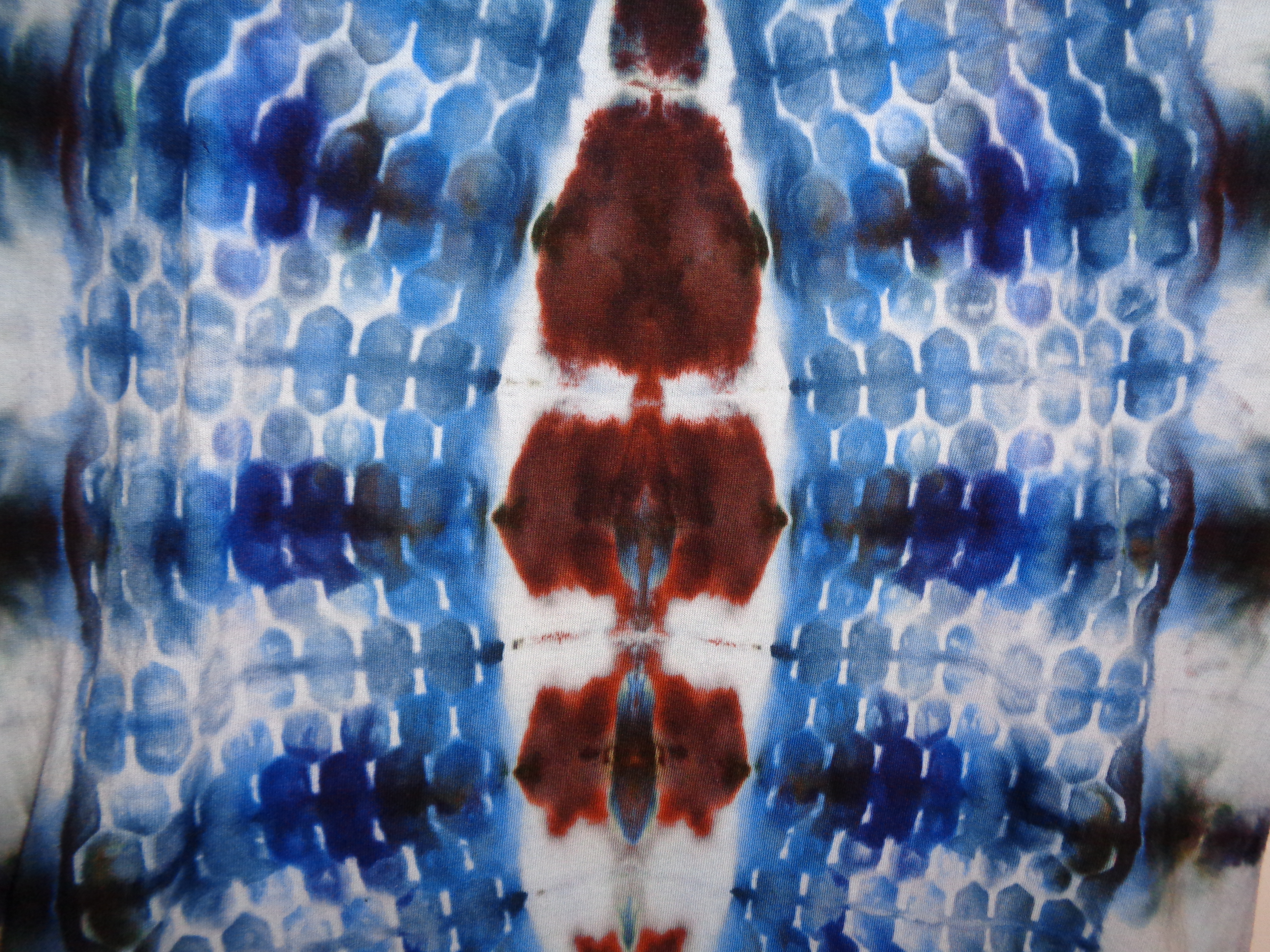 Gallaghersart dsc06710 from Tie Dyenied #47 Large Hive v1  Tie Dye Shirt 