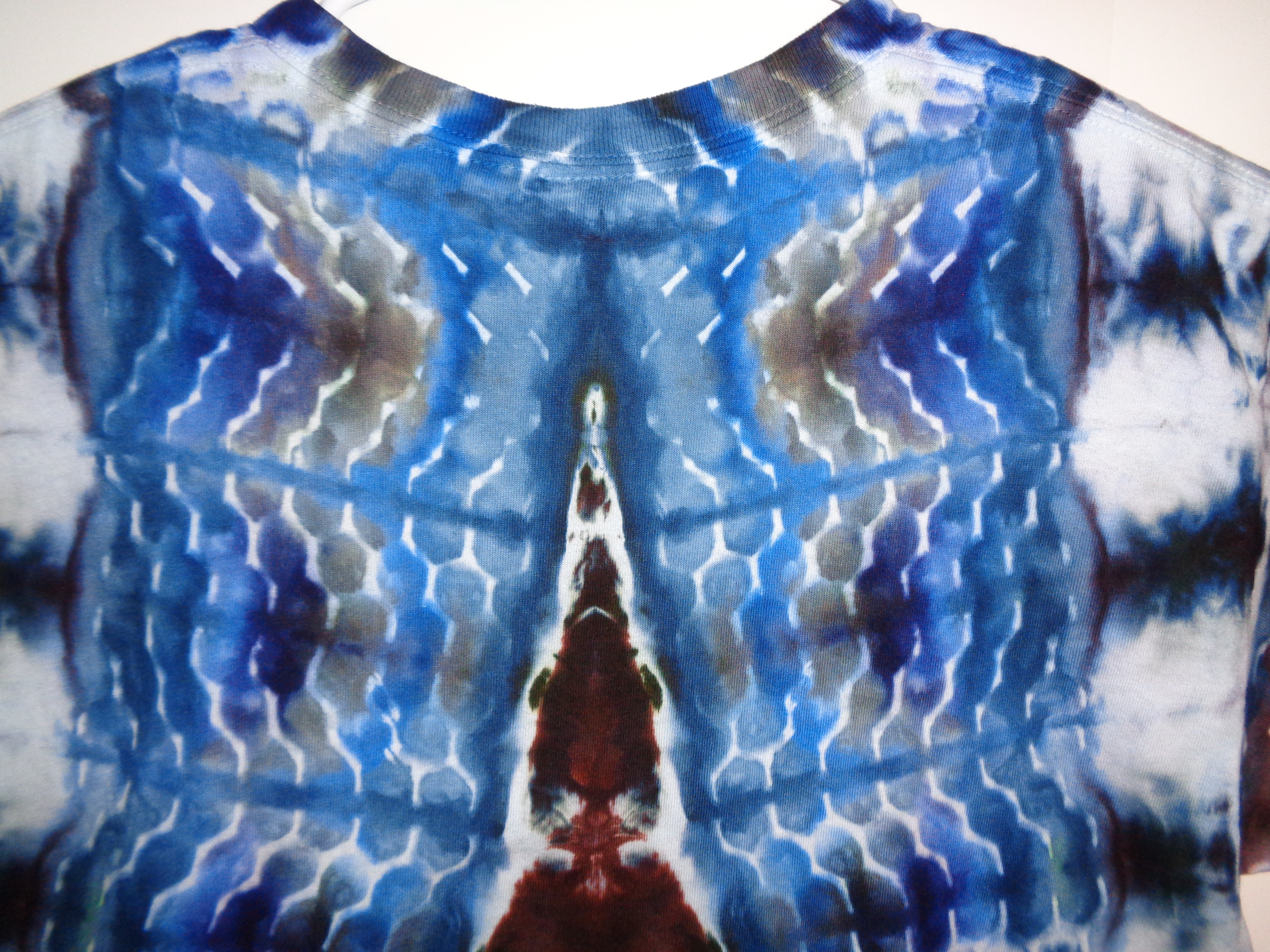 Gallaghersart dsc06714 from Tie Dyenied #47 Large Hive v1  Tie Dye Shirt 