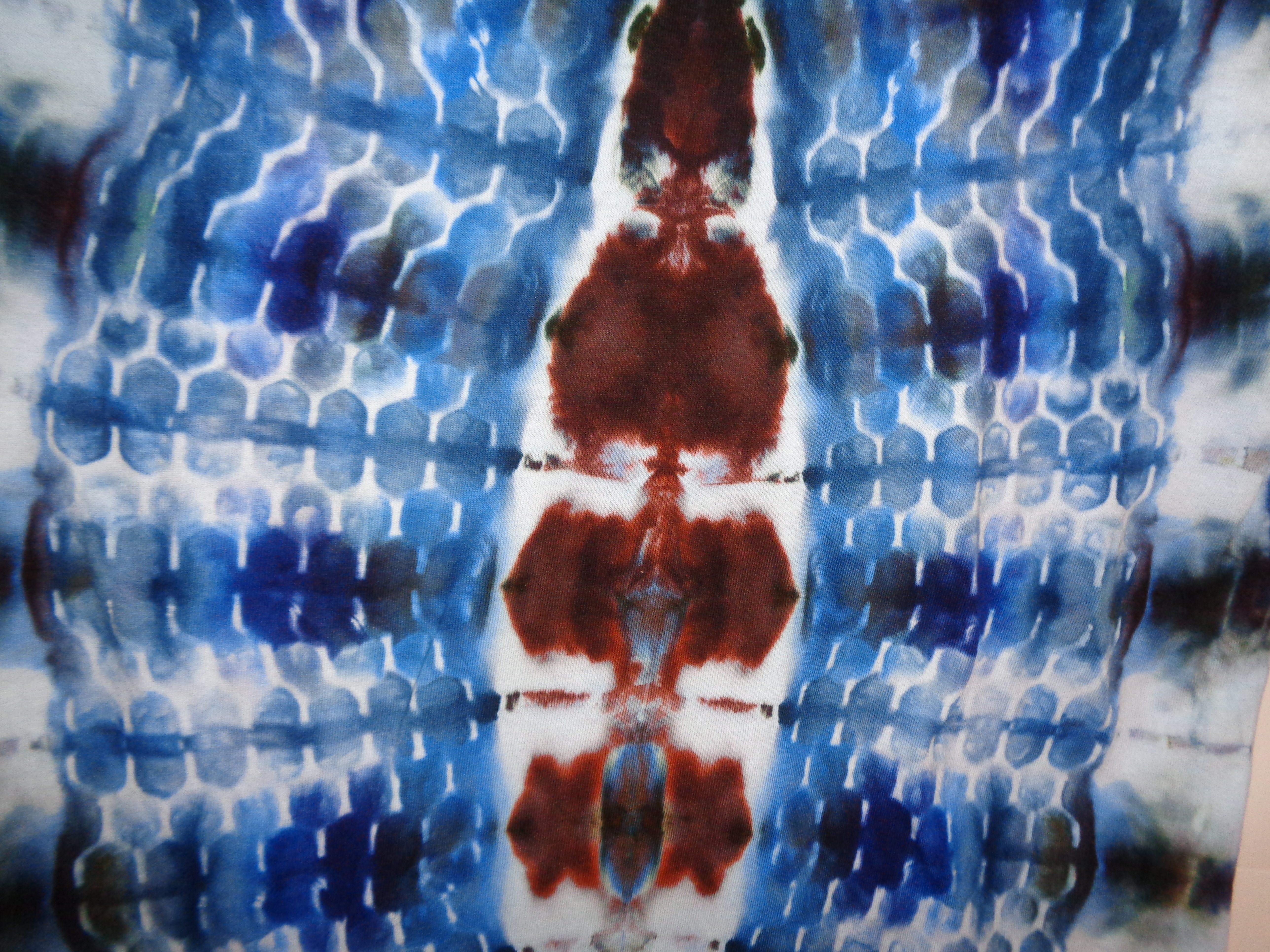 Gallaghersart dsc06716 from Tie Dyenied #47 Large Hive v1  Tie Dye Shirt 