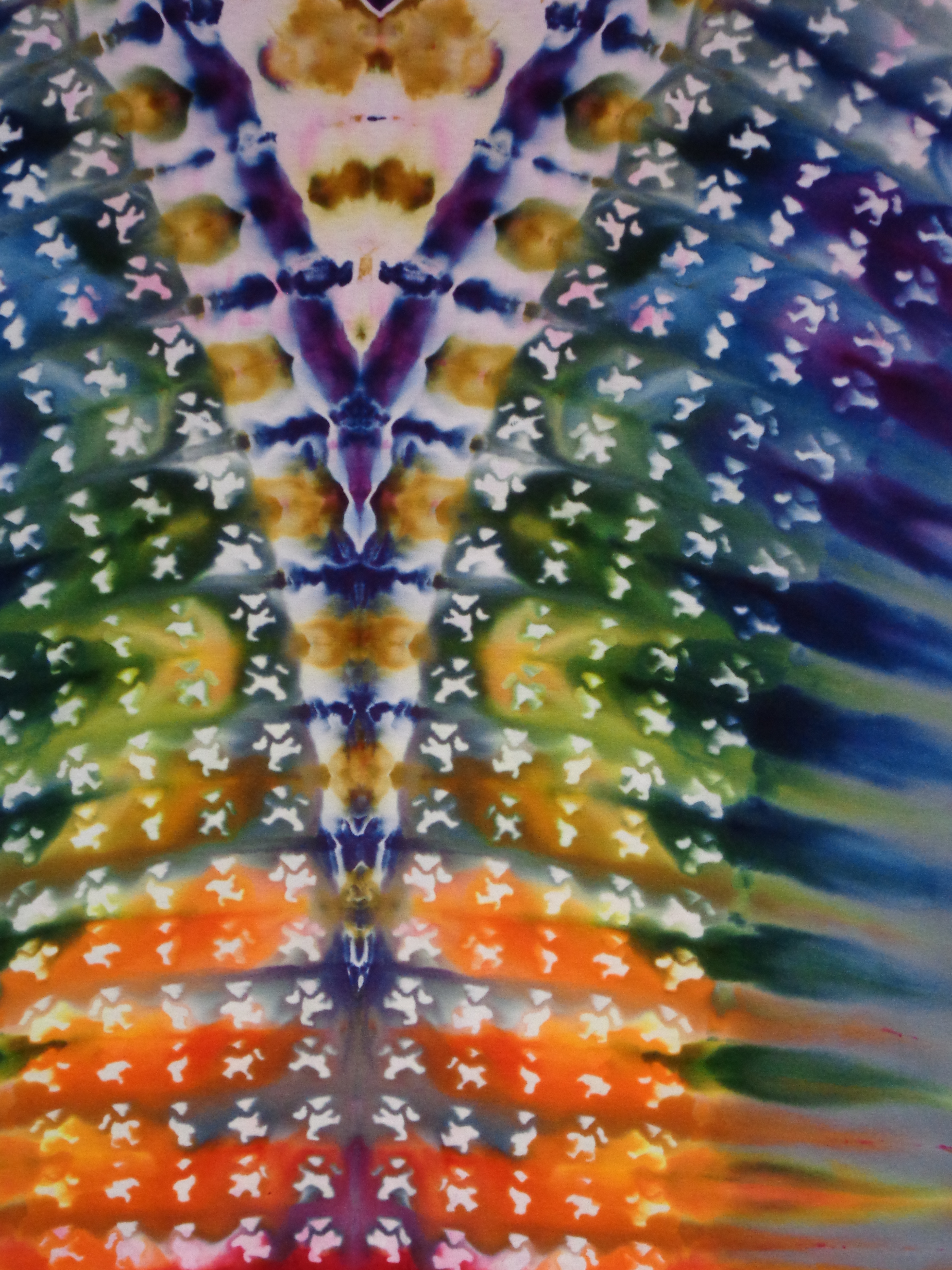 Dsc00871 from Tie Dyenied #152 4X Large, Bears, Gildan Hammer Ringspun Cotton 6.0 oz. 