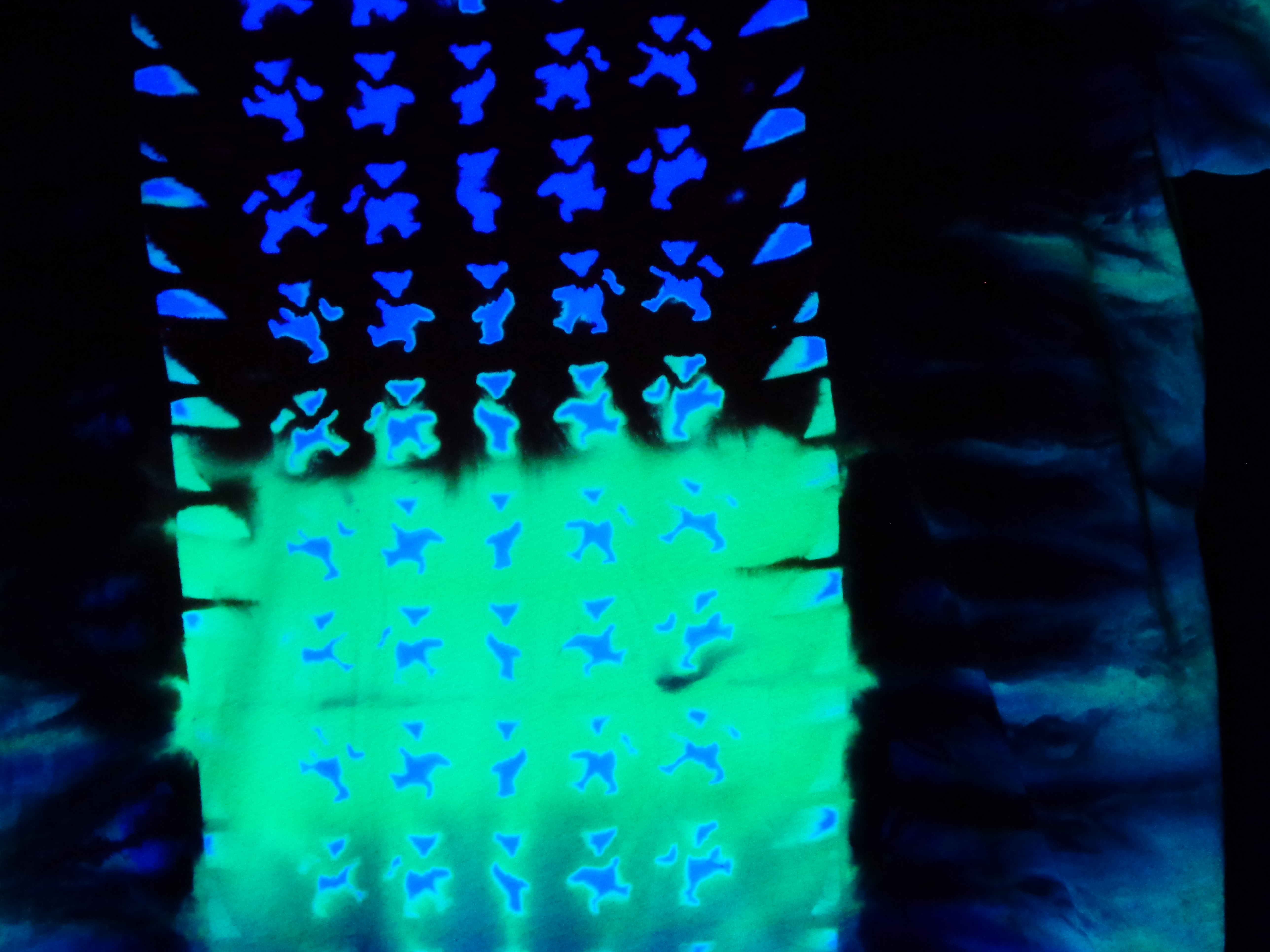 Dsc01203 from Tie Dyenied #210 Large Bamboo, Bears UV, Unisex 5.3oz LAT Style 6904 