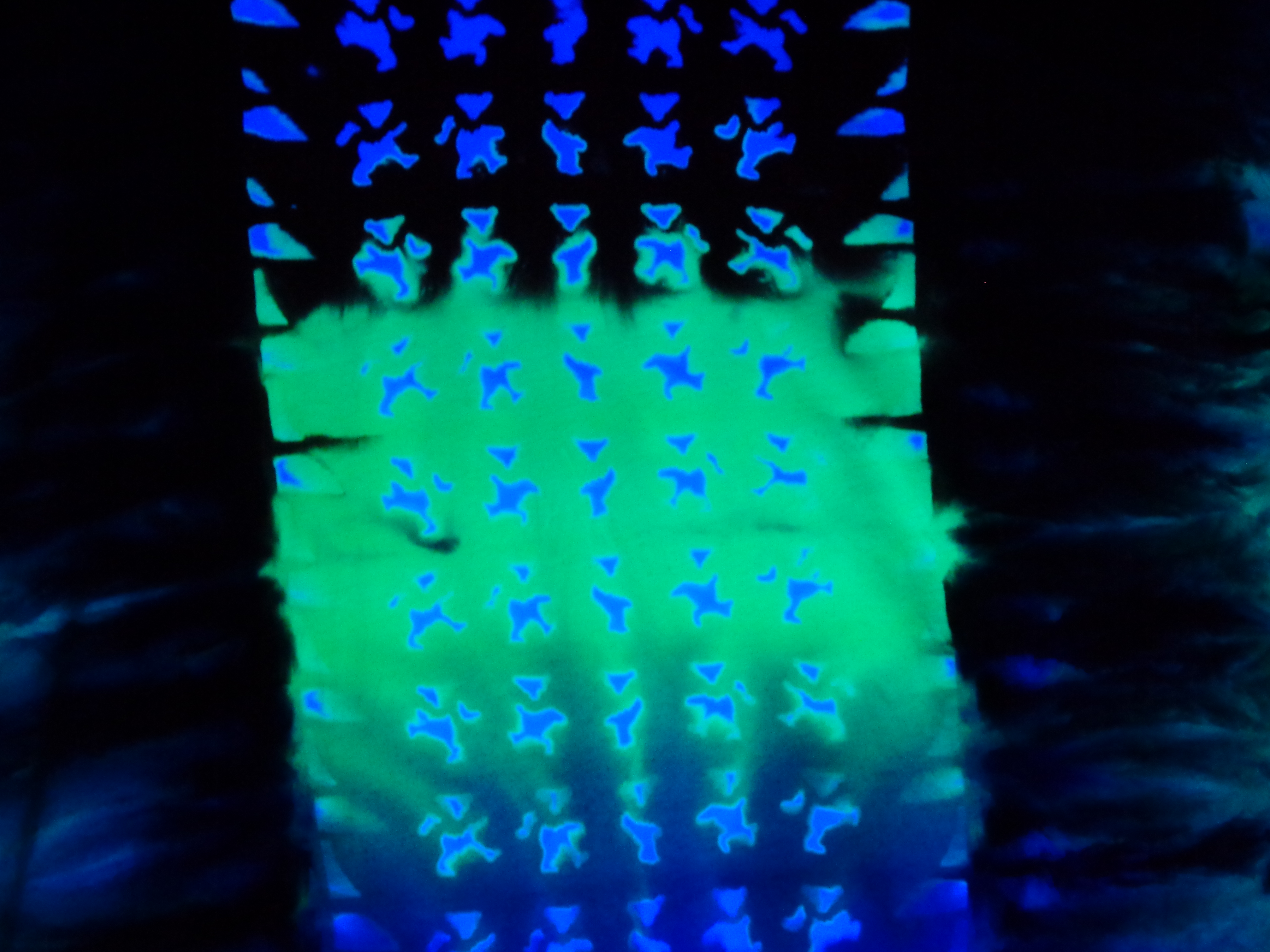 Dsc01206 from Tie Dyenied #210 Large Bamboo, Bears UV, Unisex 5.3oz LAT Style 6904 